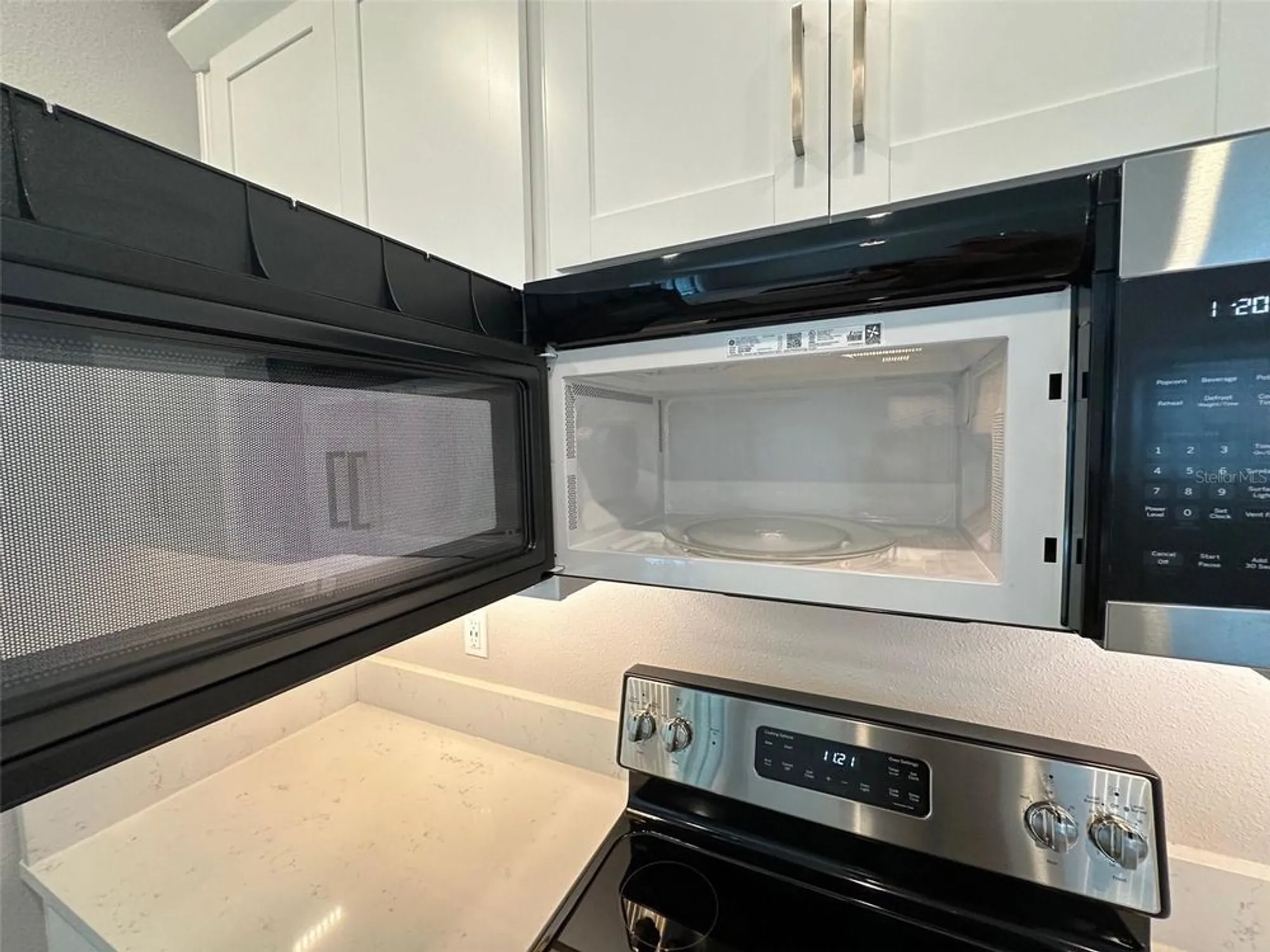 Property Slideshow image 13 of 90 | 17216 mango shay ct, Land O Lakes, FL, 34638