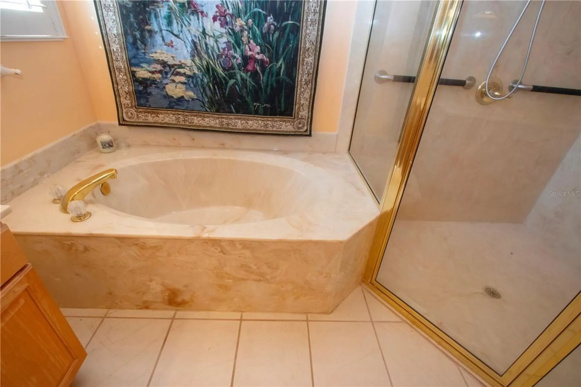Property Slideshow image 47 of 74 | 1115 signature dr, Sun City Center, FL, 33573
