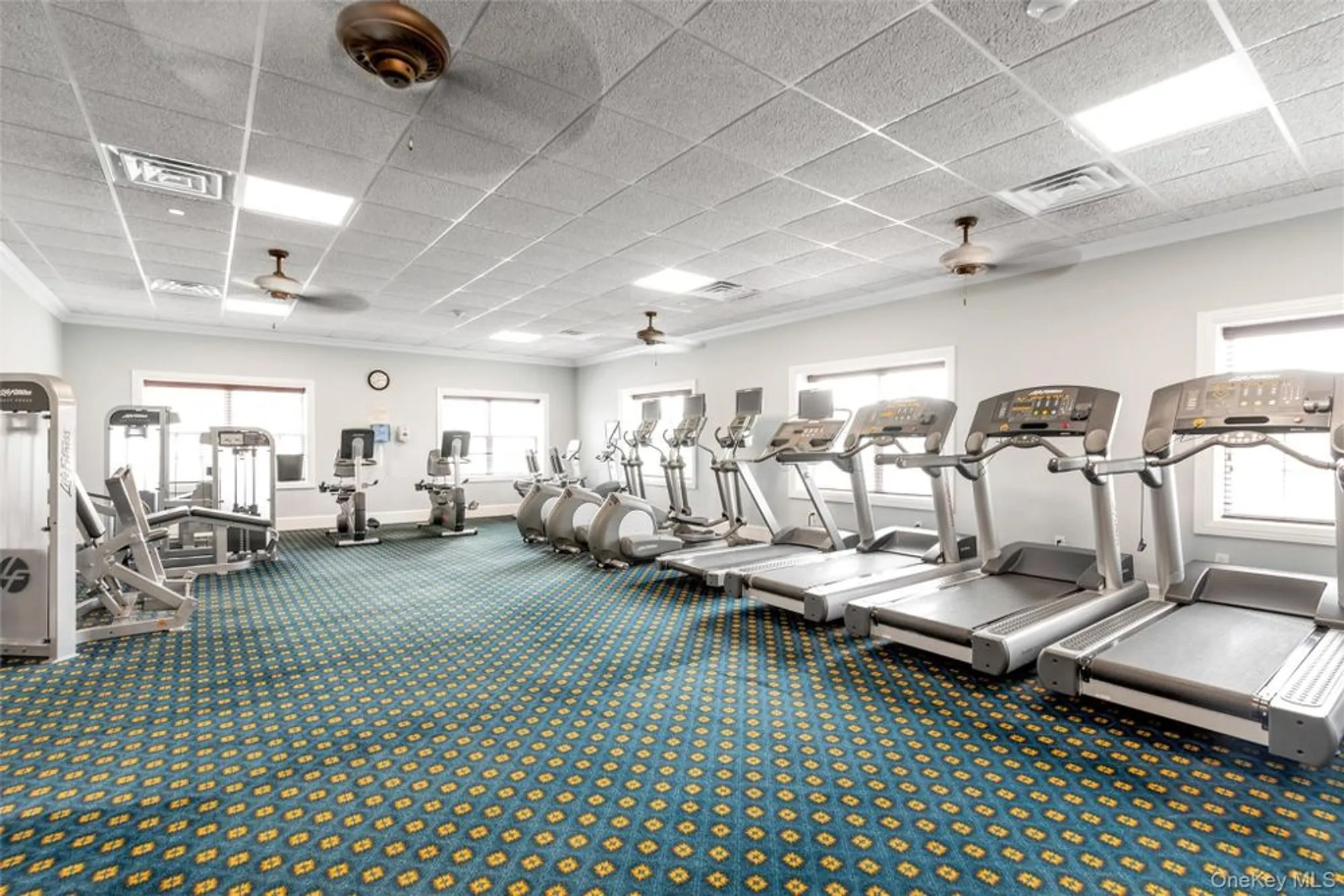 Property Slideshow image 22 of 27 | 331 spring dr, East Meadow, NY, 11554