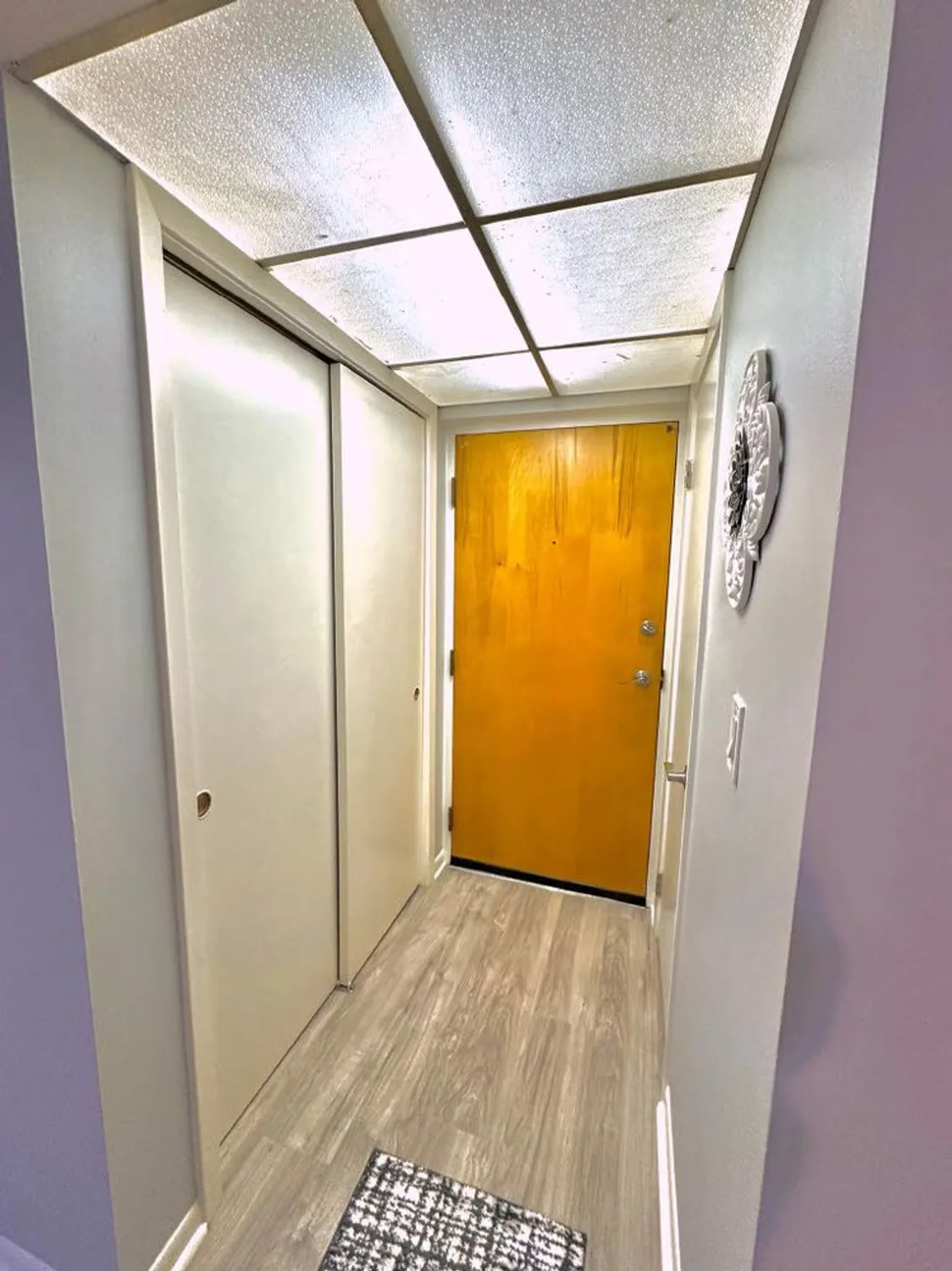 Property Slideshow image 4 of 19 | 2900 maple ave 24a, Downers Grove, IL, 60515