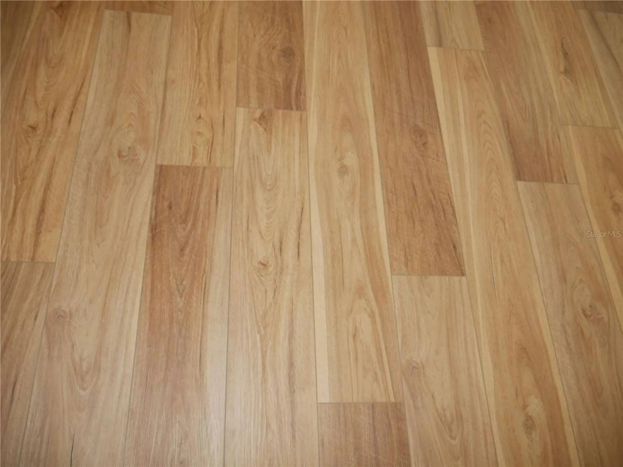 Property Slideshow image 16 of 43 | 1390 viola ct, The Villages, FL, 32163