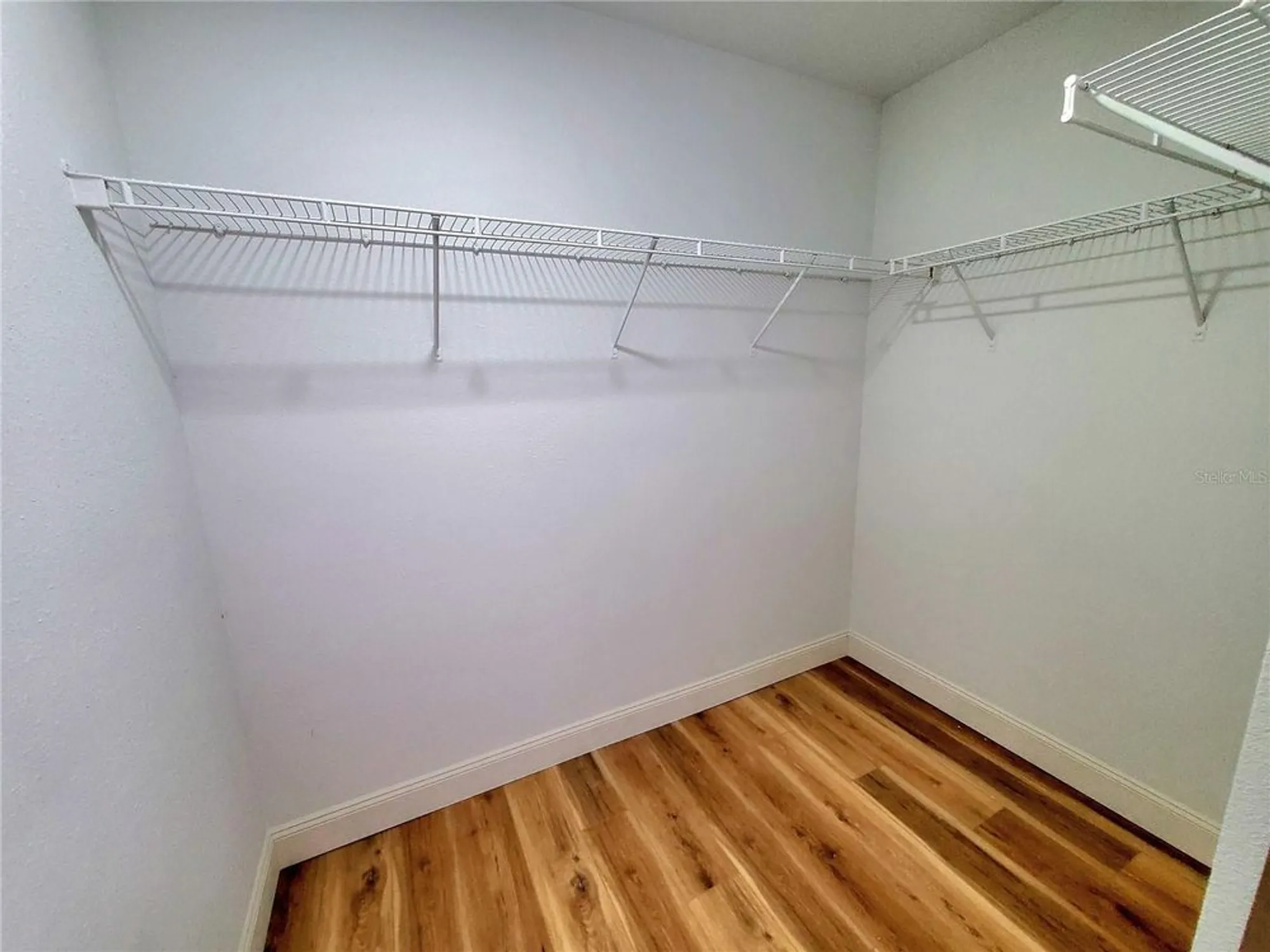 Property Slideshow image 25 of 50 | 1517 morning rose pl, Trinity, FL, 34655