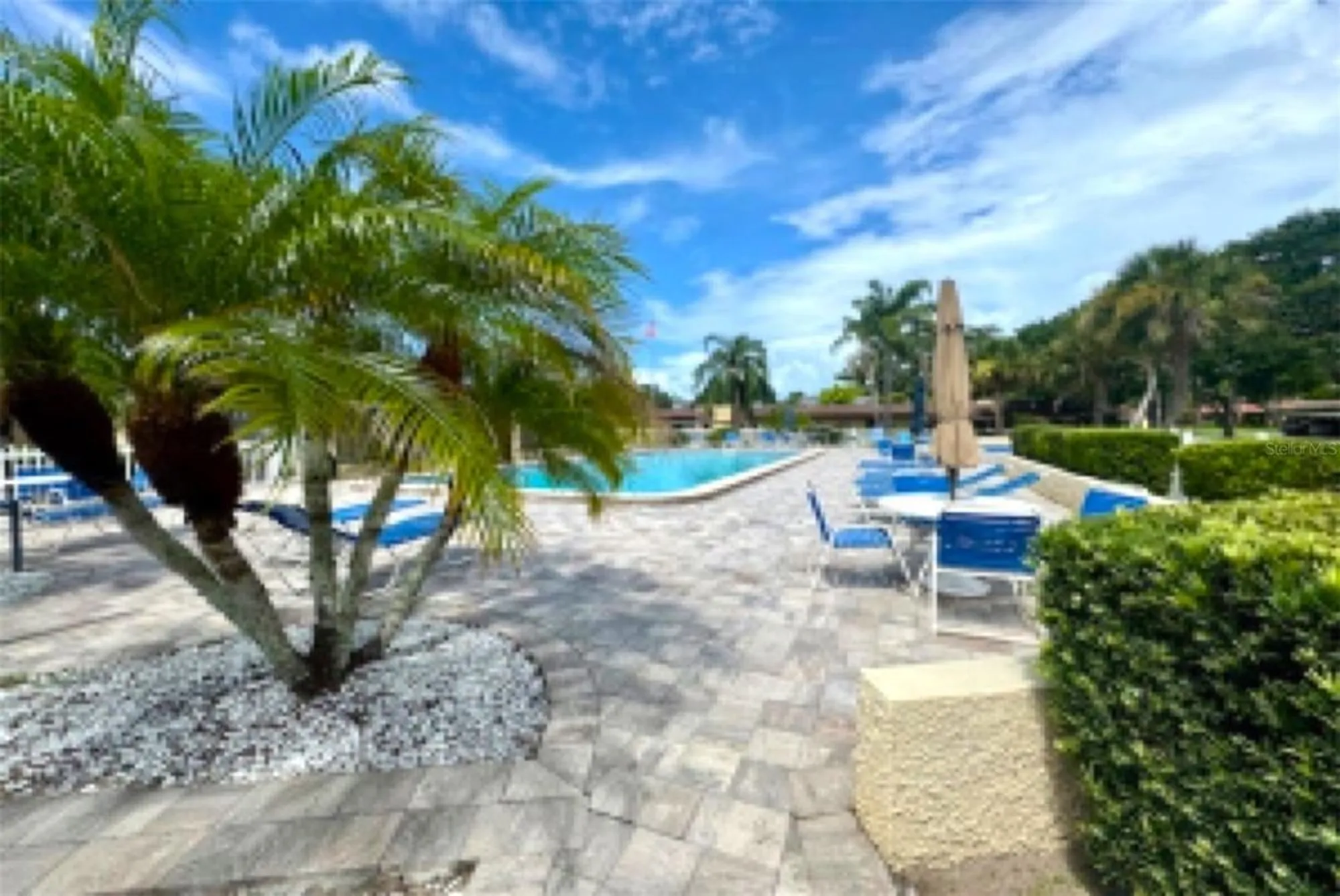 Property Slideshow image 50 of 84 | 1701 pinehurst rd apt 24b, Dunedin, FL, 34698