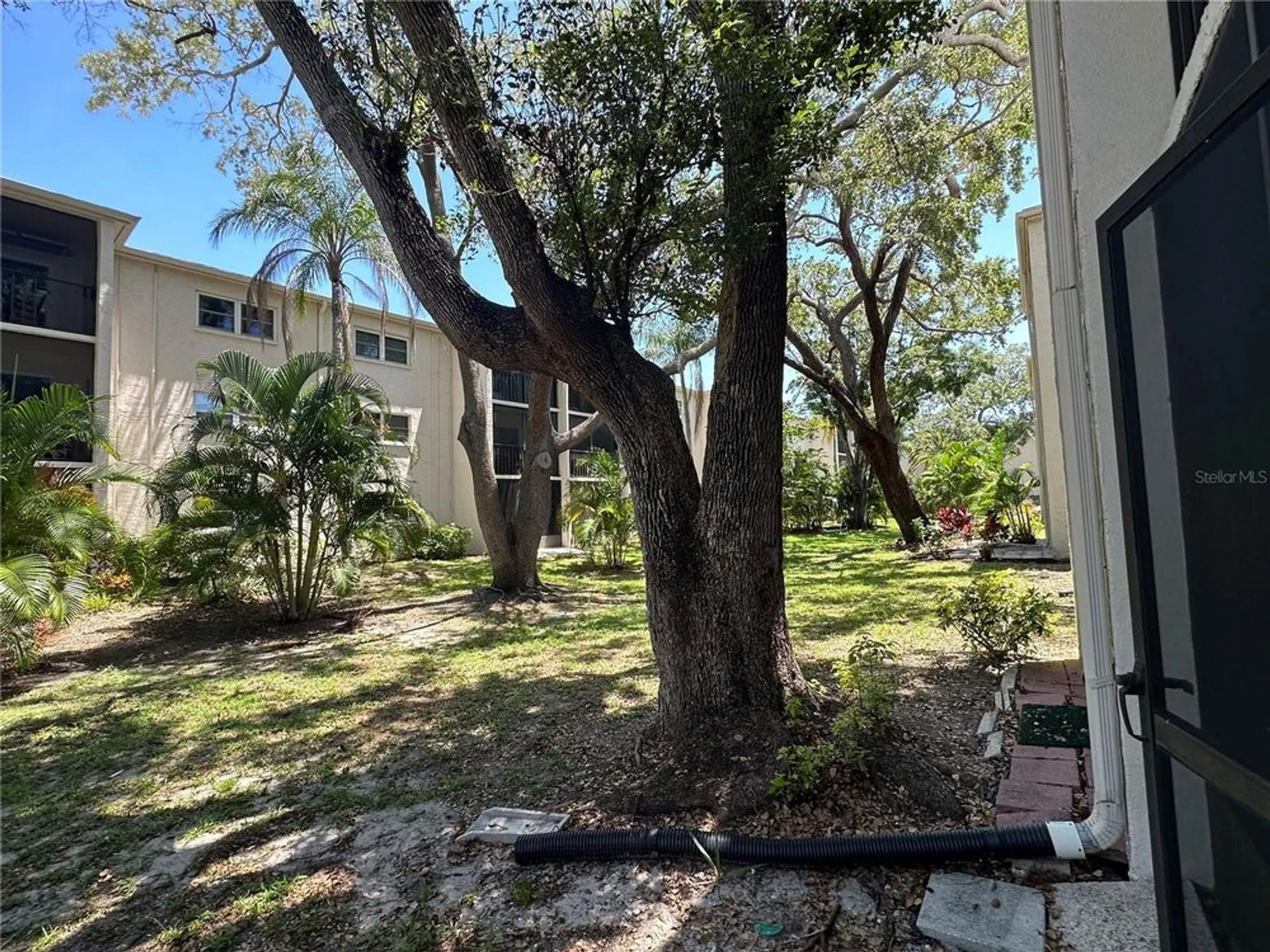 Property Slideshow image 2 of 14 | 861 maple ct 104, Dunedin, FL, 34698