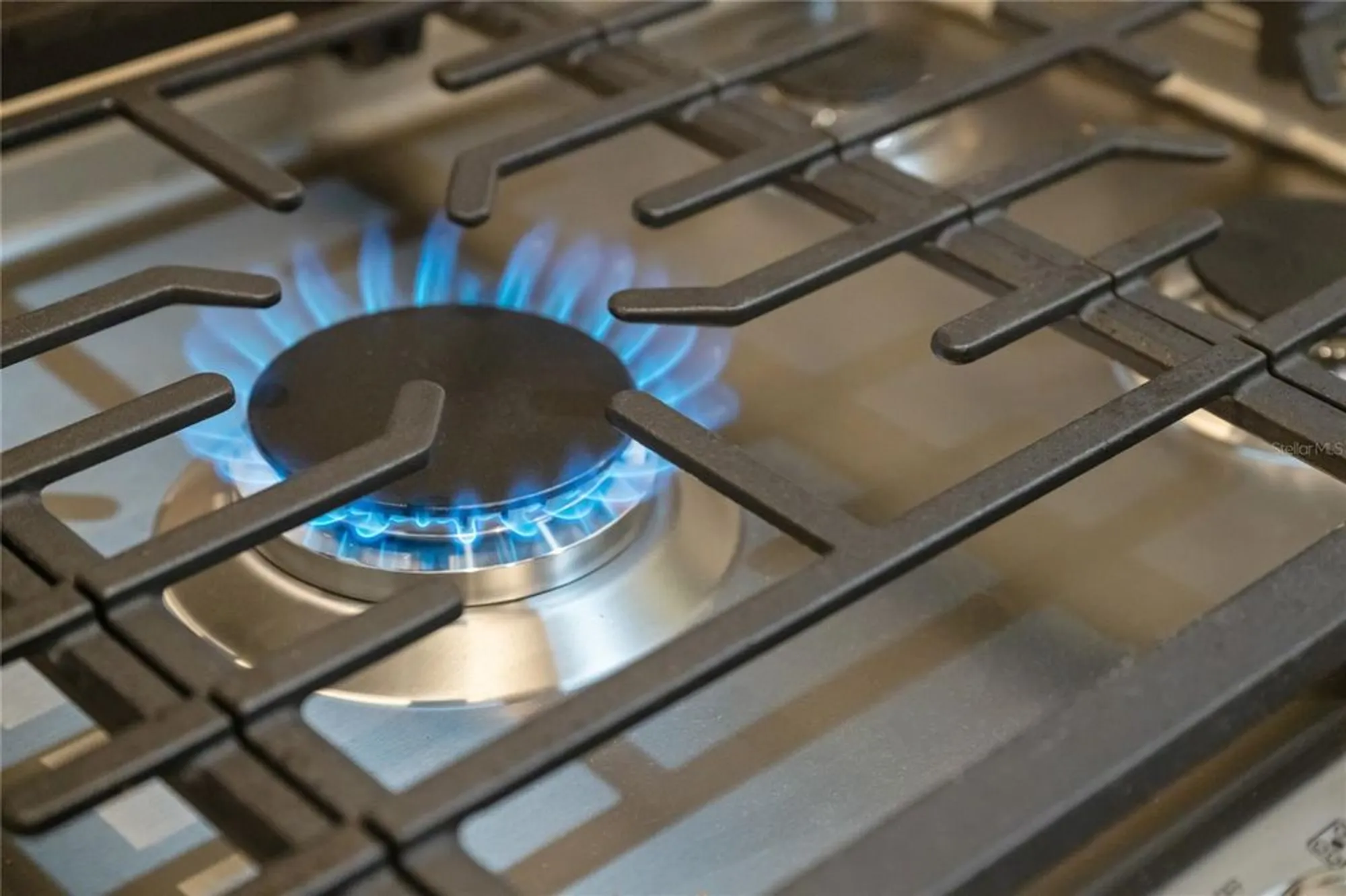 Property Slideshow image 17 of 62 | 4120 limerick dr, Lake Wales, FL, 33859