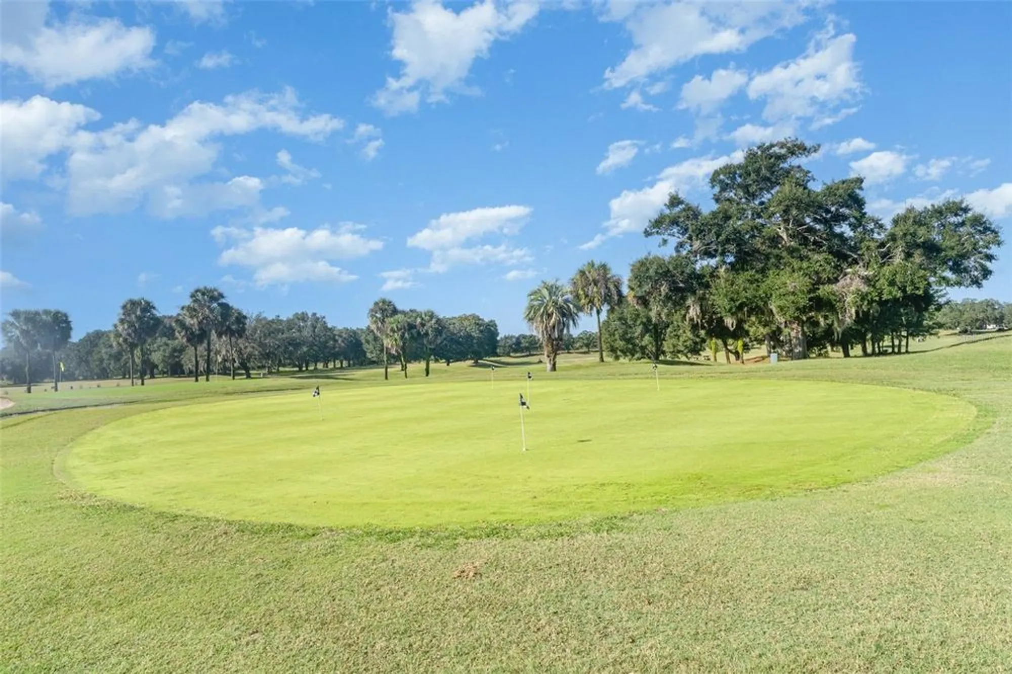 Property Slideshow image 33 of 41 | 17571 se 108th ave, Summerfield, FL, 34491