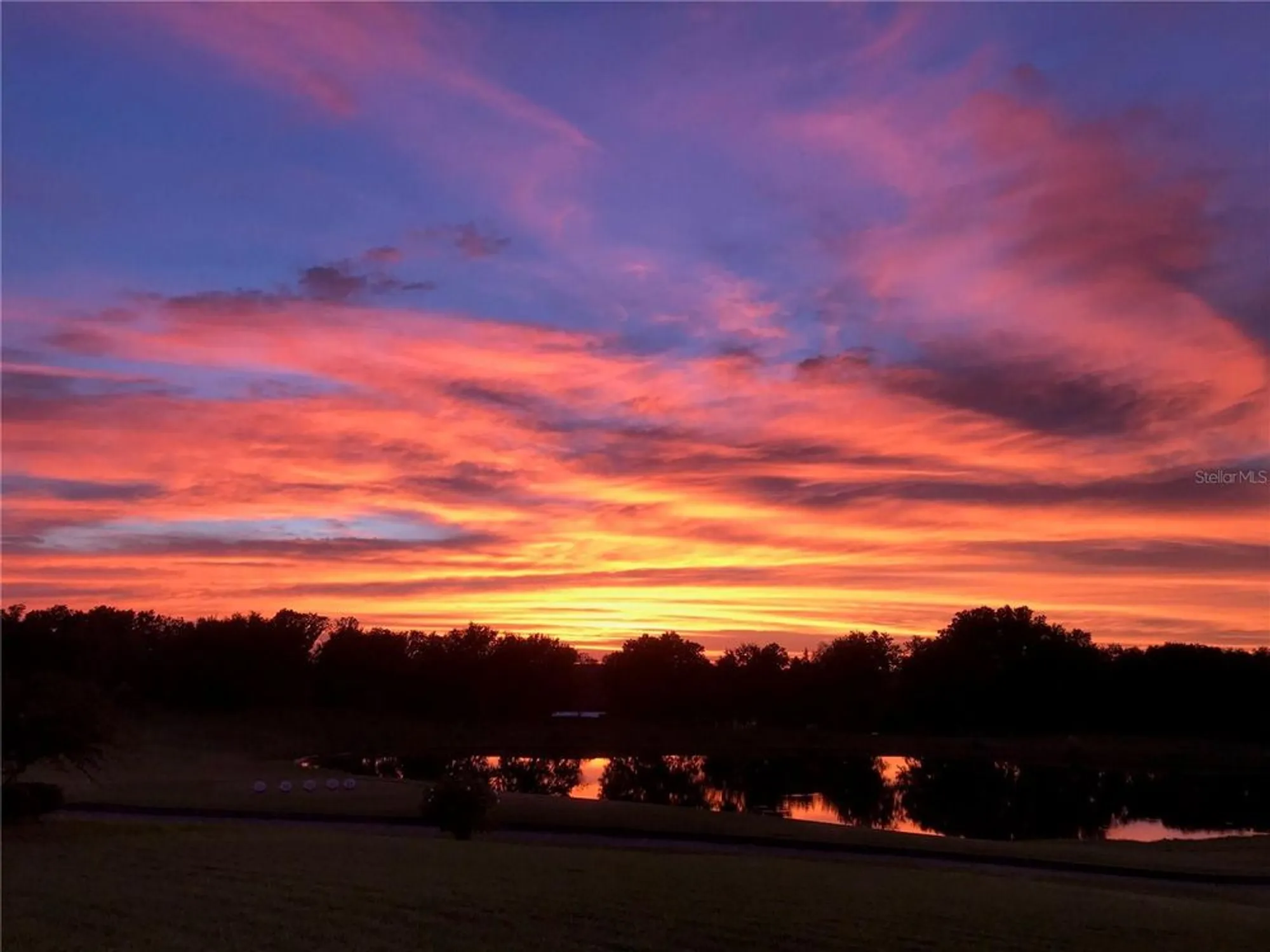 Property Slideshow image 75 of 75 | 13301 thoroughbred dr, Dade City, FL, 33525