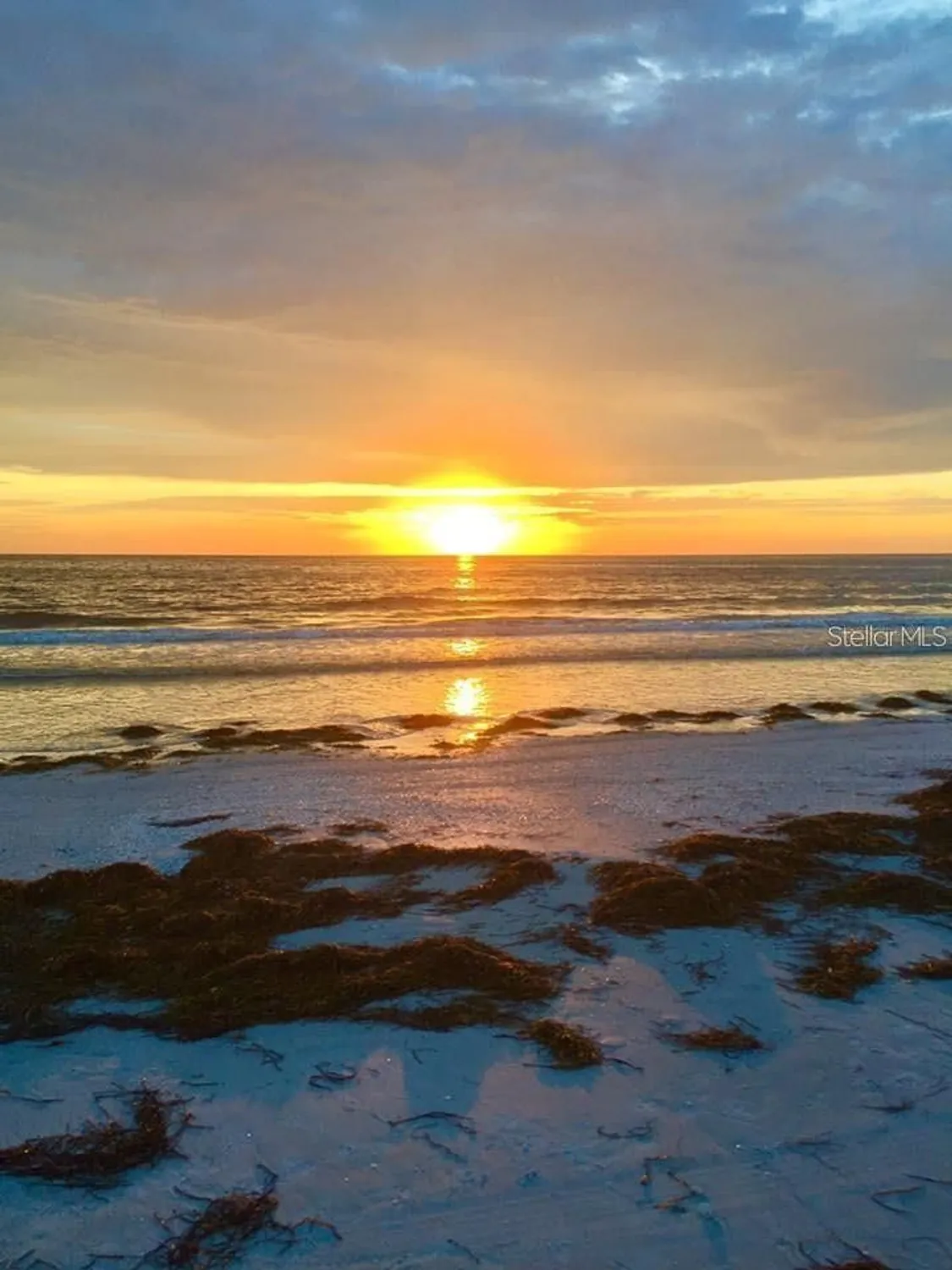 Property Slideshow image 64 of 65 | 7930 sun island dr 111, South Pasadena, FL, 33707