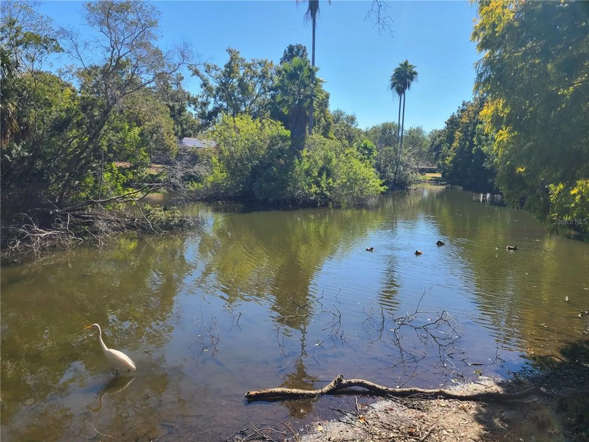Property Slideshow image 35 of 43 | 1342 stonehaven ln, Dunedin, FL, 34698