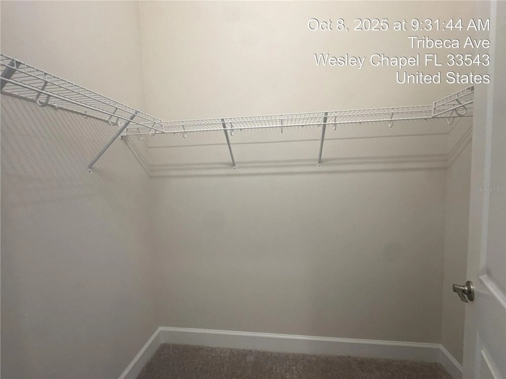 Property Slideshow image 34 of 47 | 32249 tribeca ave, Wesley Chapel, FL, 33543