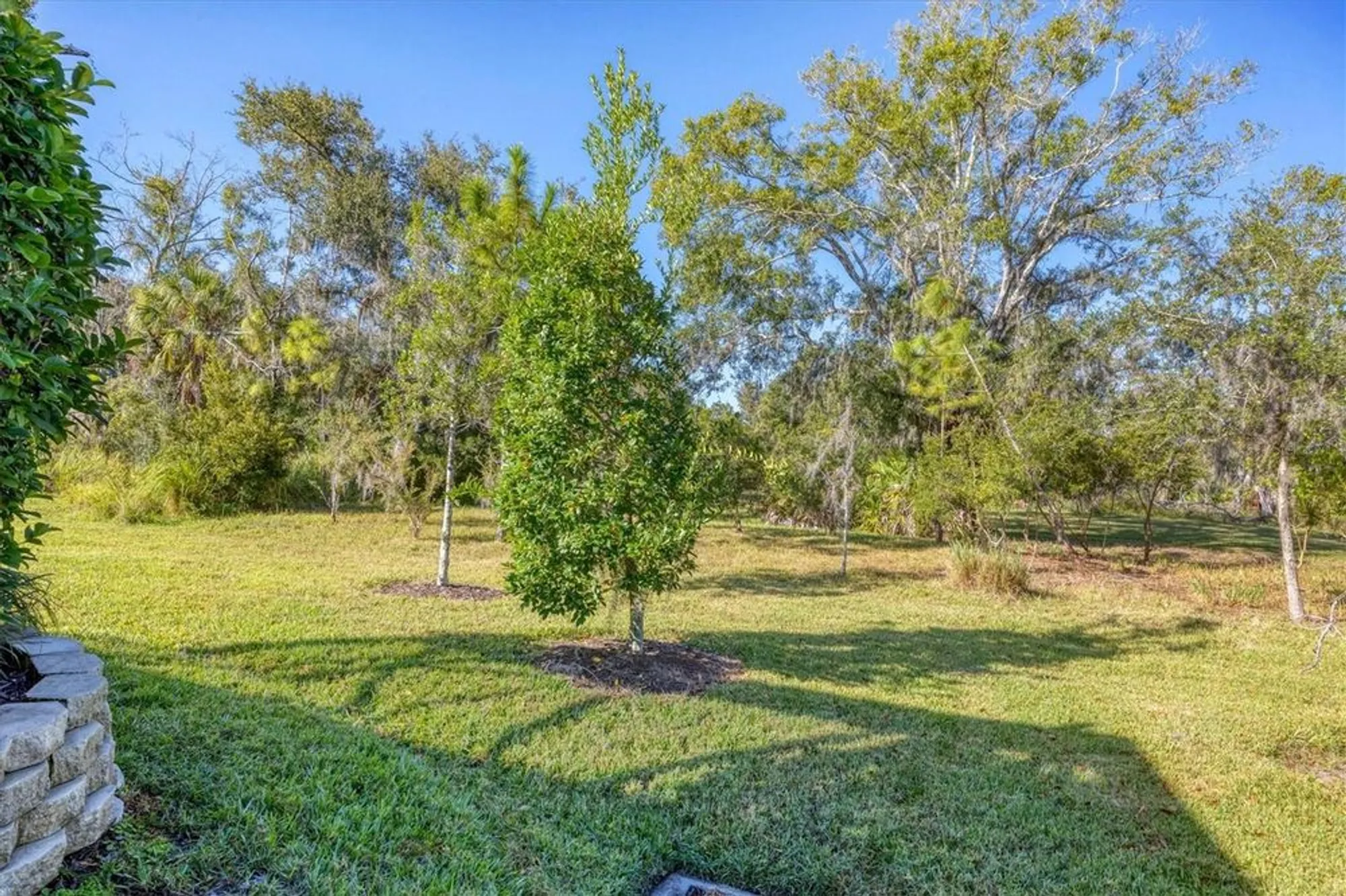 Property Slideshow image 43 of 72 | 3214 sky blue cv, Bradenton, FL, 34211