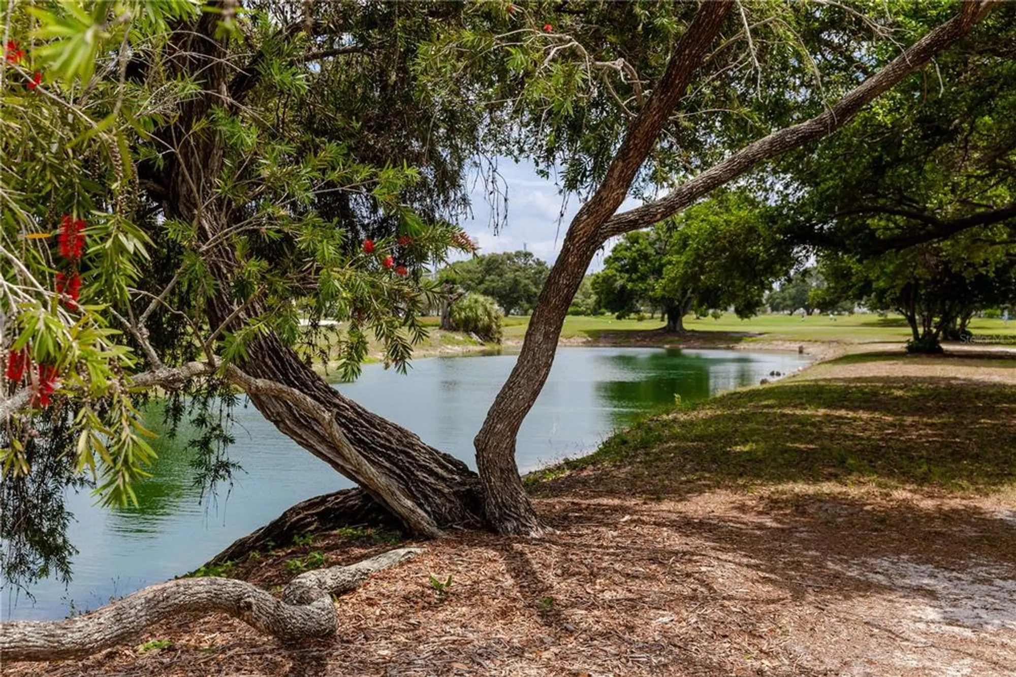 Property Slideshow image 42 of 42 | 2463 brazilia dr apt 39, Clearwater, FL, 33763