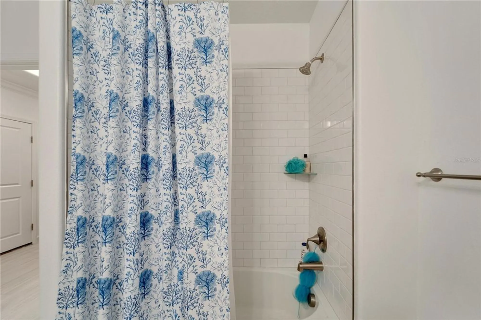 Property Slideshow image 33 of 68 | 31451 moniker mast ln, San Antonio, FL, 33576