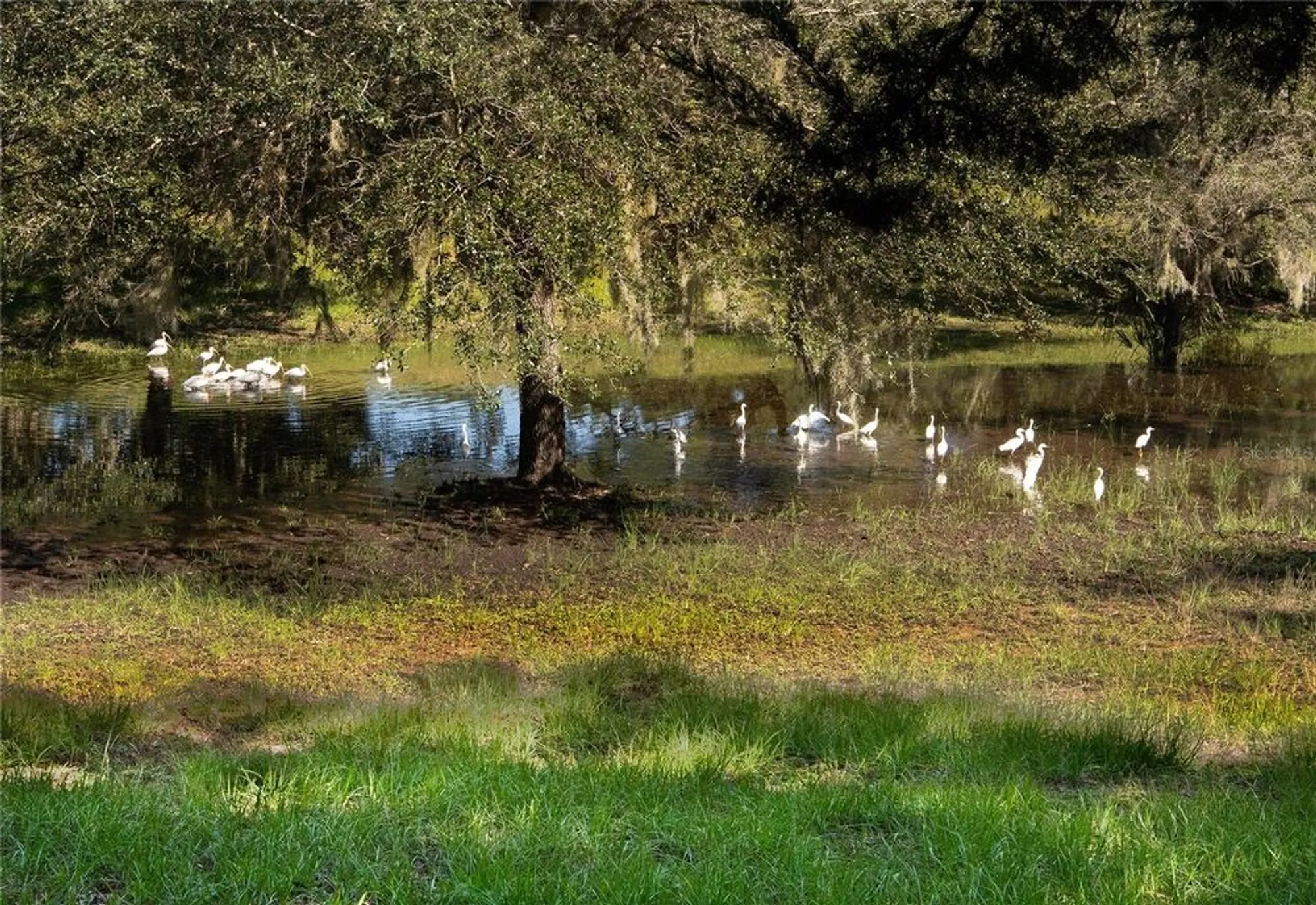 Property Slideshow image 50 of 50 | 1318 asher ct, Ormond Beach, FL, 32174