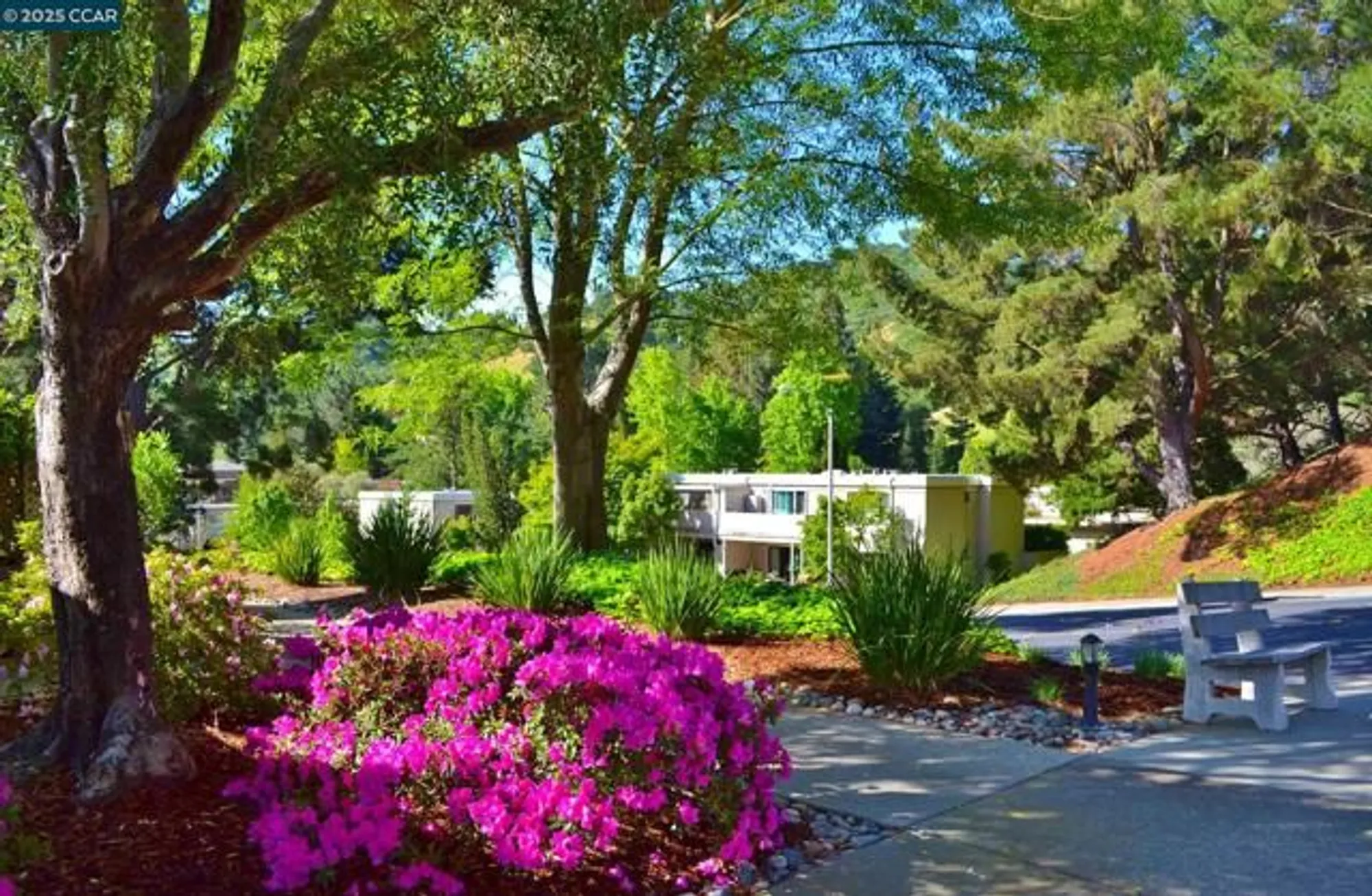 Property Slideshow image 34 of 60 | 1332 canyonwood ct apt 2, Walnut Creek, CA, 94595