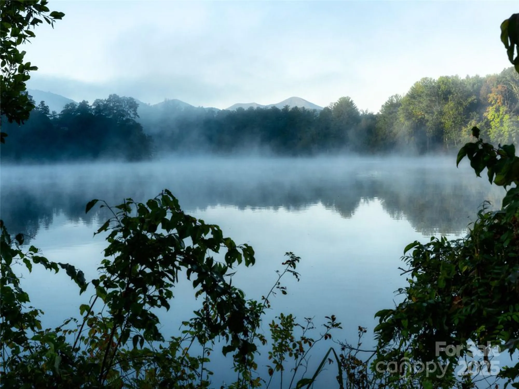 Property Slideshow image 39 of 48 | 588 welsh partridge cir, Biltmore Lake, NC, 28715