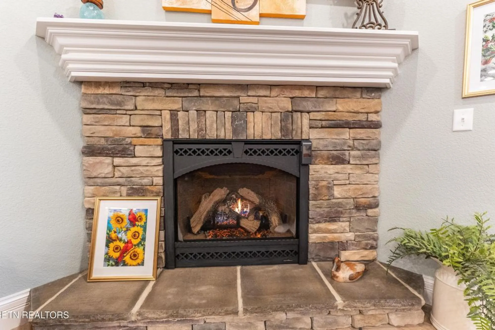 Property Slideshow image 10 of 54 | 12 edgemere ct, Crossville, TN, 38558