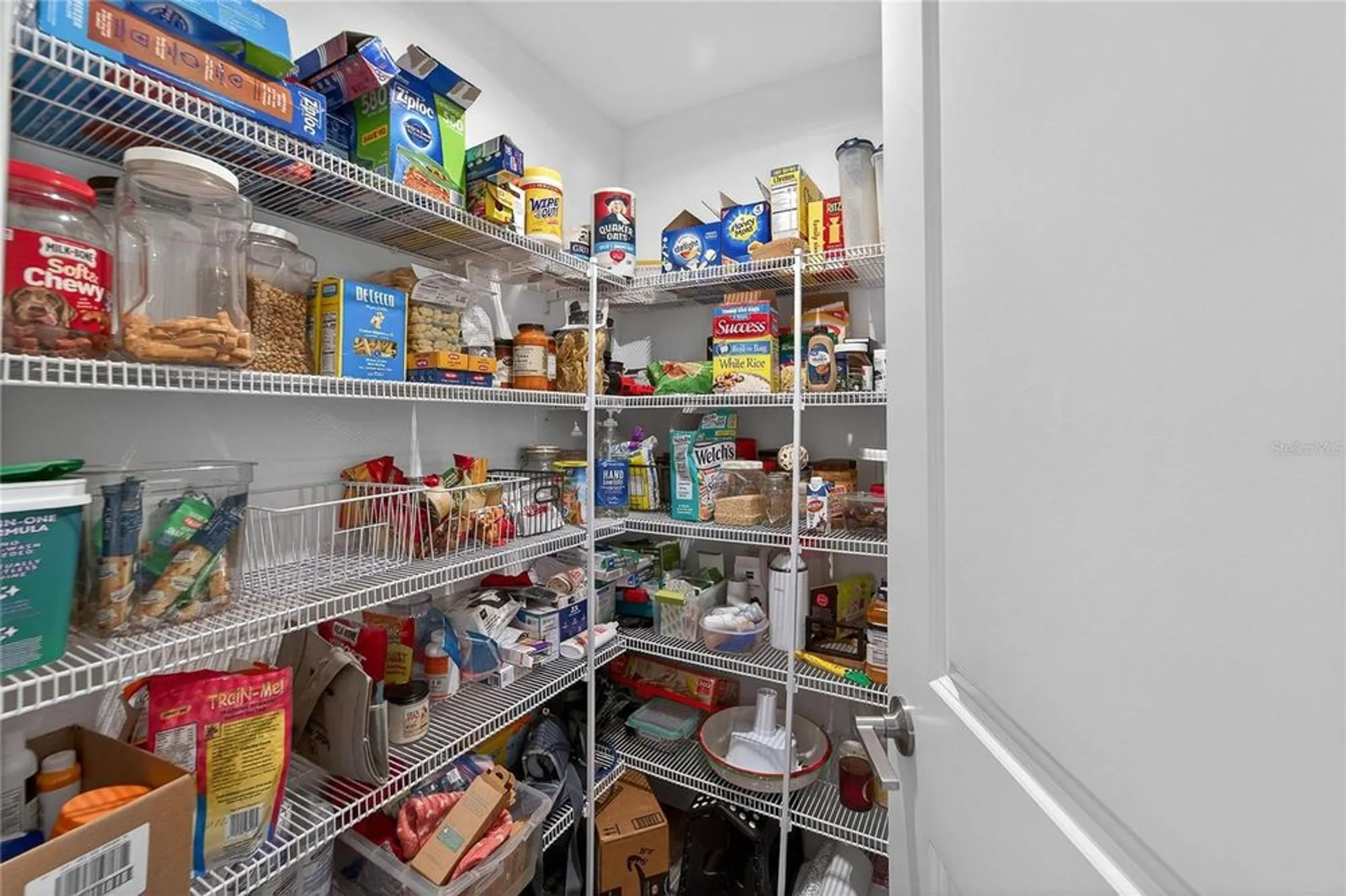 Property Slideshow image 14 of 98 | 17216 scuba crest st, Wimauma, FL, 33598