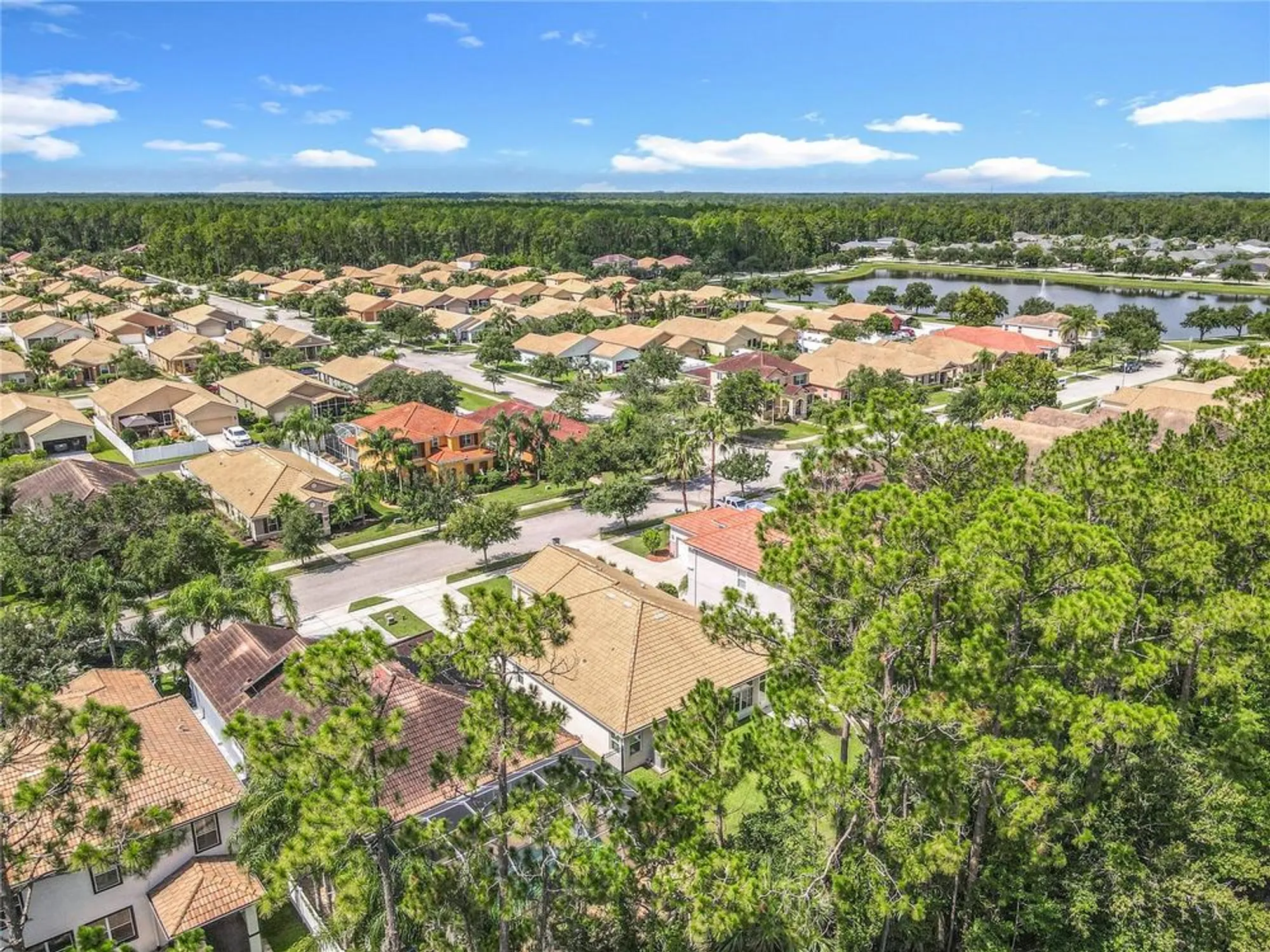 Property Slideshow image 36 of 39 | 3361 pegaso ave, New Smyrna Beach, FL, 32168