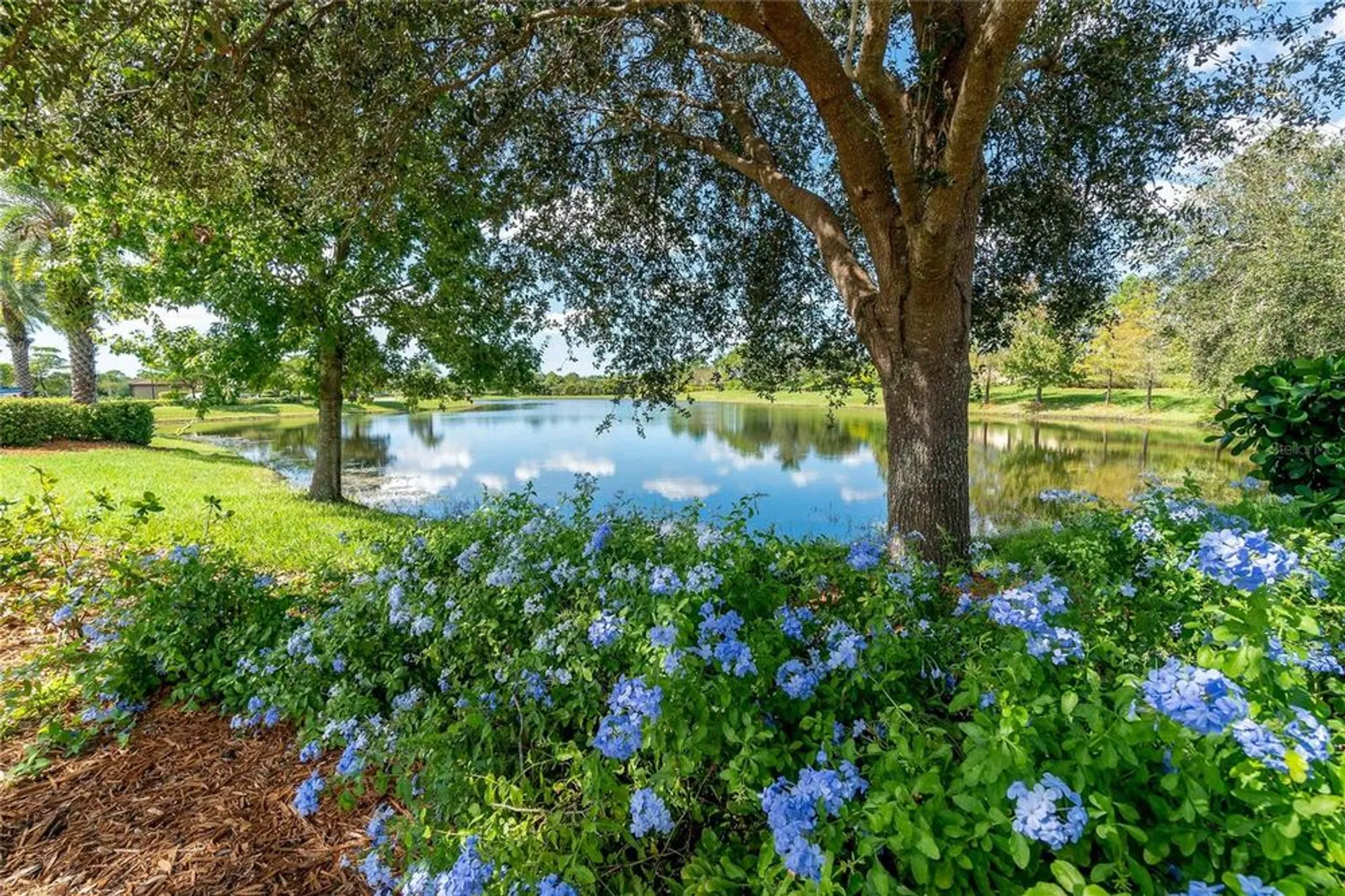 Property Slideshow image 64 of 66 | 13873 alafaya st, Venice, FL, 34293