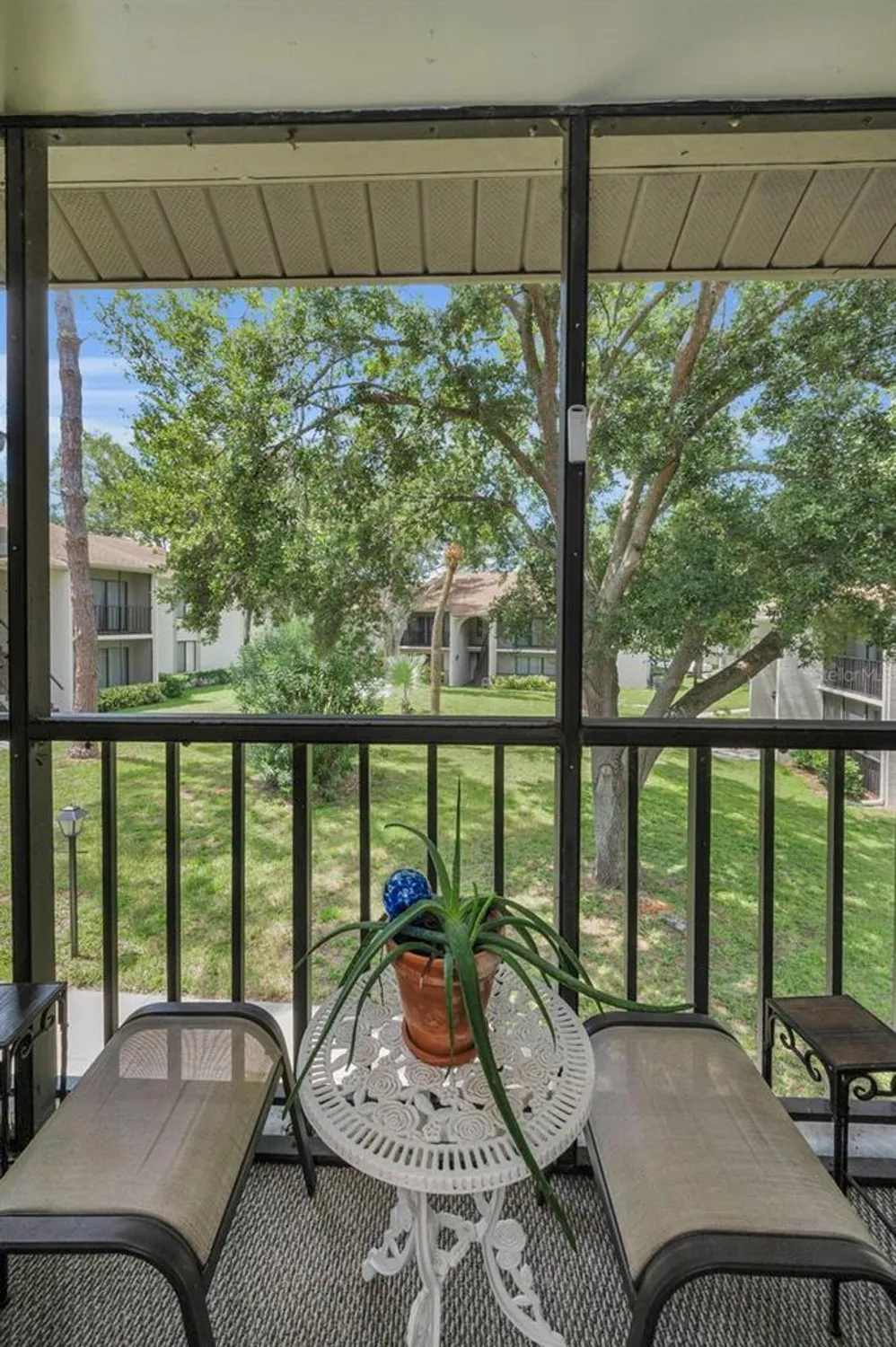 Property Slideshow image 14 of 65 | 2666 pine ridge way c2, Palm Harbor, FL, 34684