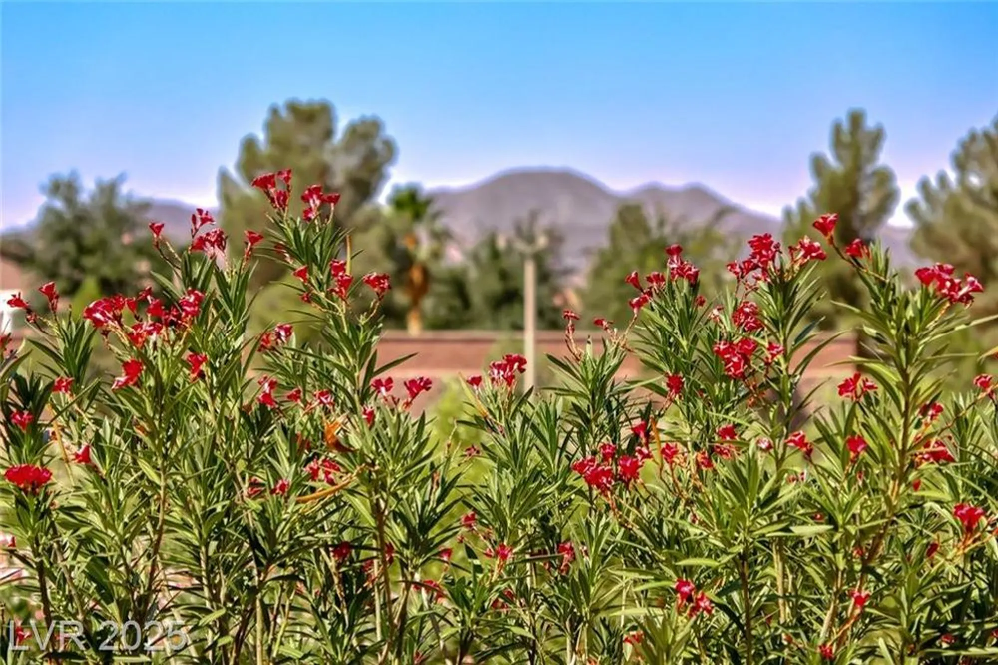 Property Slideshow image 40 of 50 | 2343 schaeffer hills dr, Henderson, NV, 89052