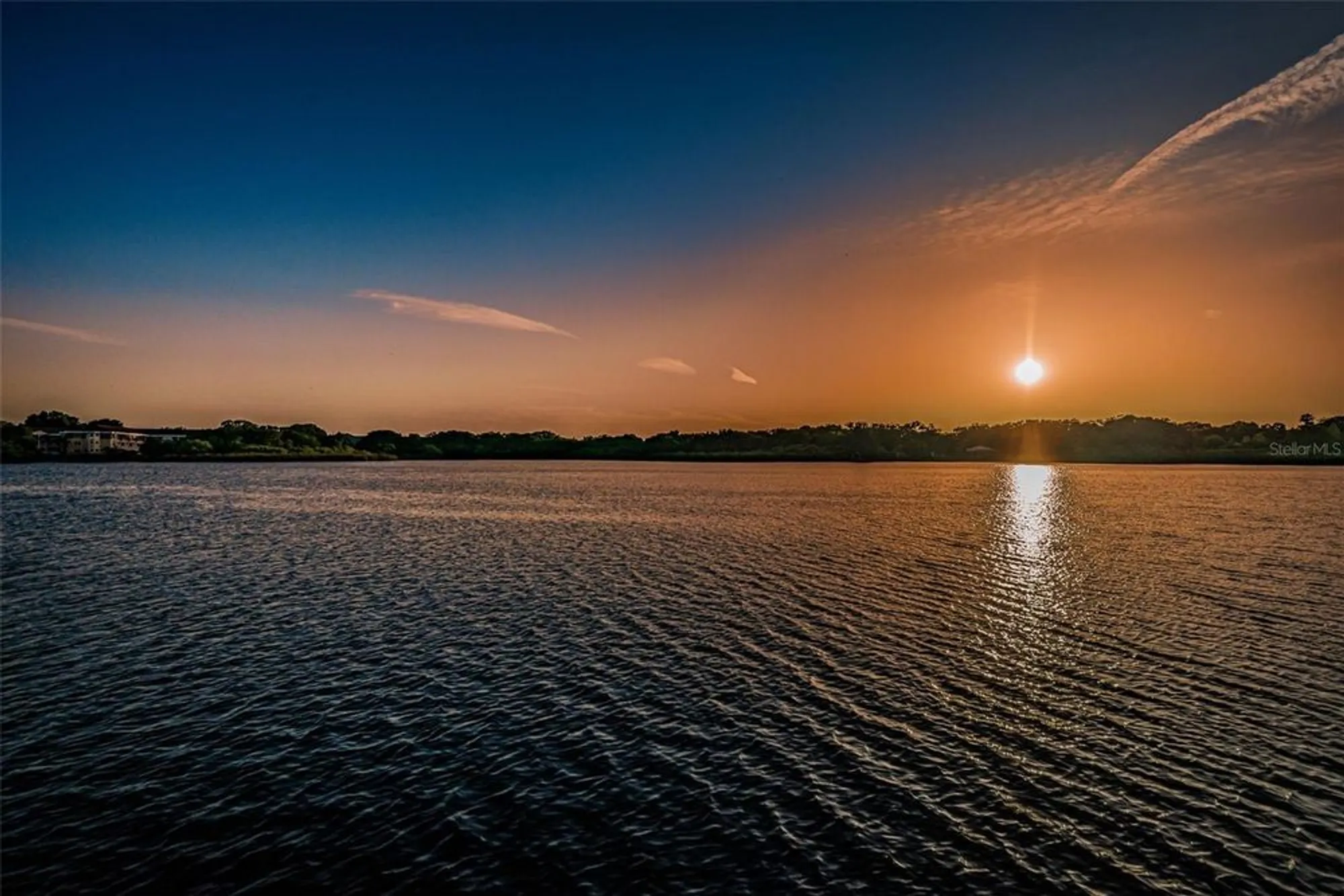 Property Slideshow image 93 of 98 | 2453 brazilia dr 47, Clearwater, FL, 33763