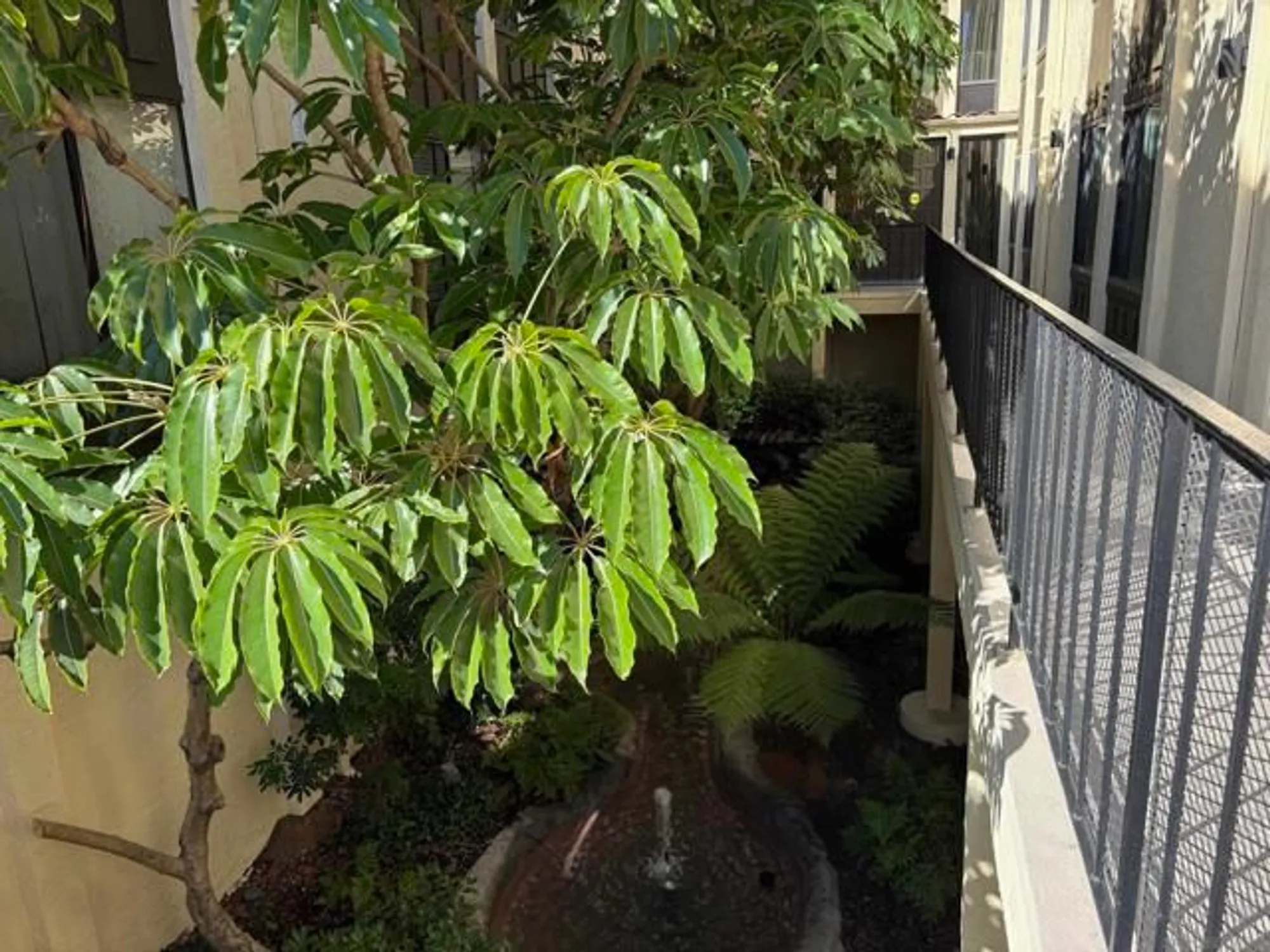 Property Slideshow image 41 of 42 | 3796 alabama st unit a118, San Diego, CA, 92104