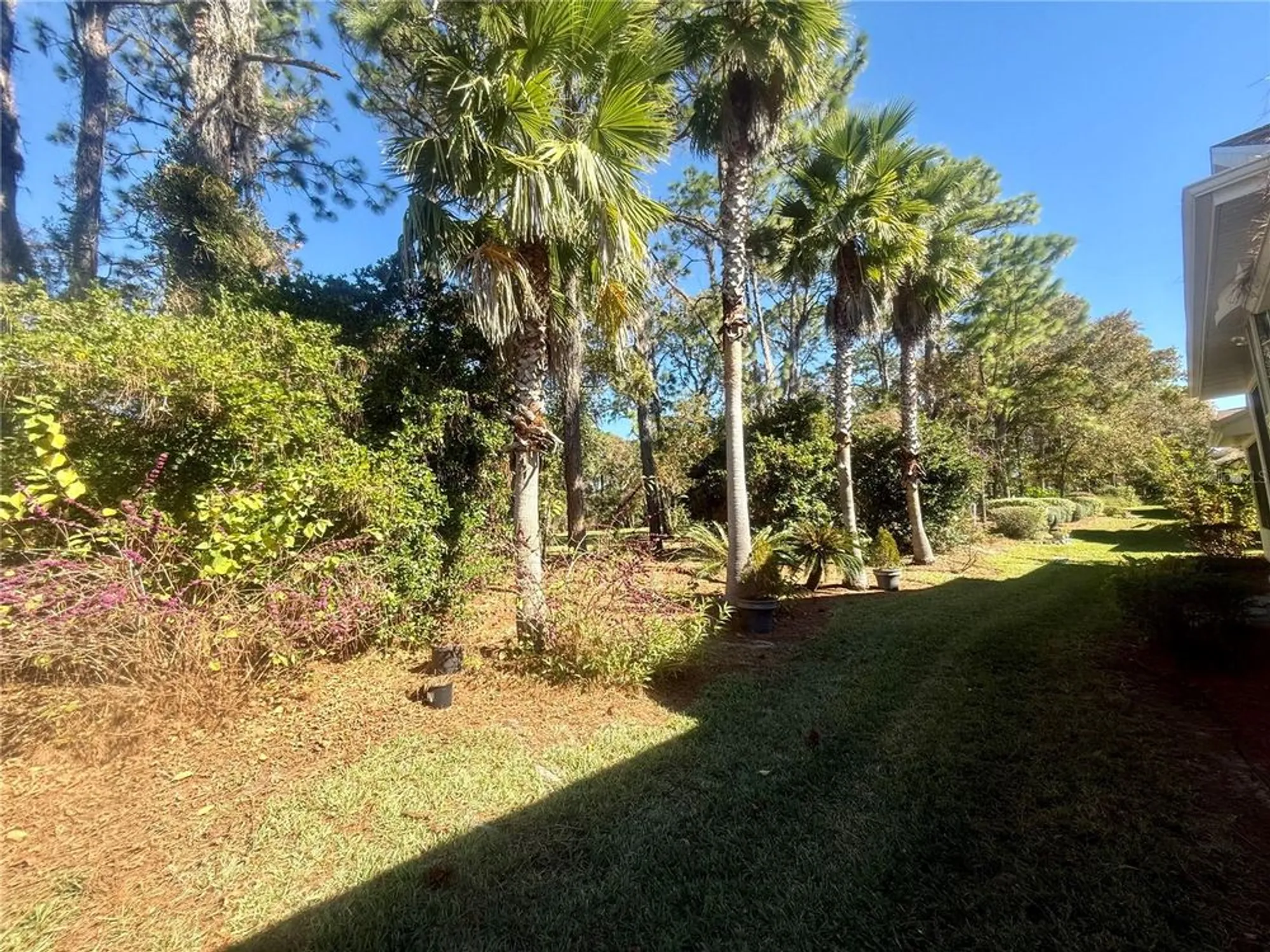 Property Slideshow image 49 of 66 | 11621 sw 72nd cir, Ocala, FL, 34476