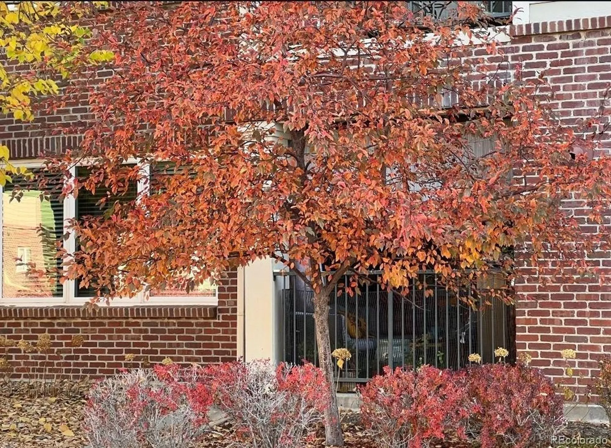 Property Slideshow image 21 of 25 | 2896 w riverwalk cir a105, Littleton, CO, 80123