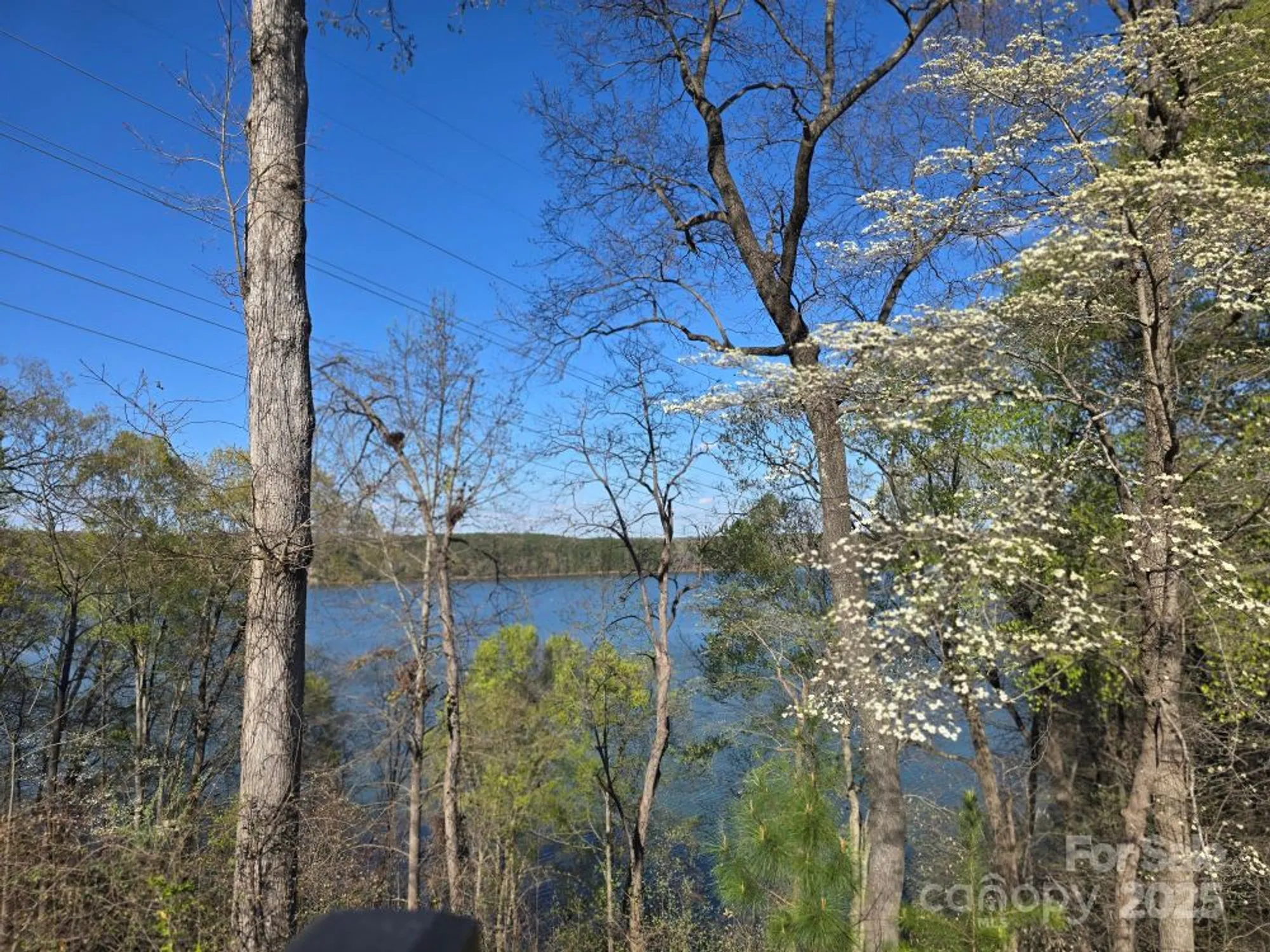 Property Slideshow image 30 of 41 | 525 cellini pl, Mount Holly, NC, 28120