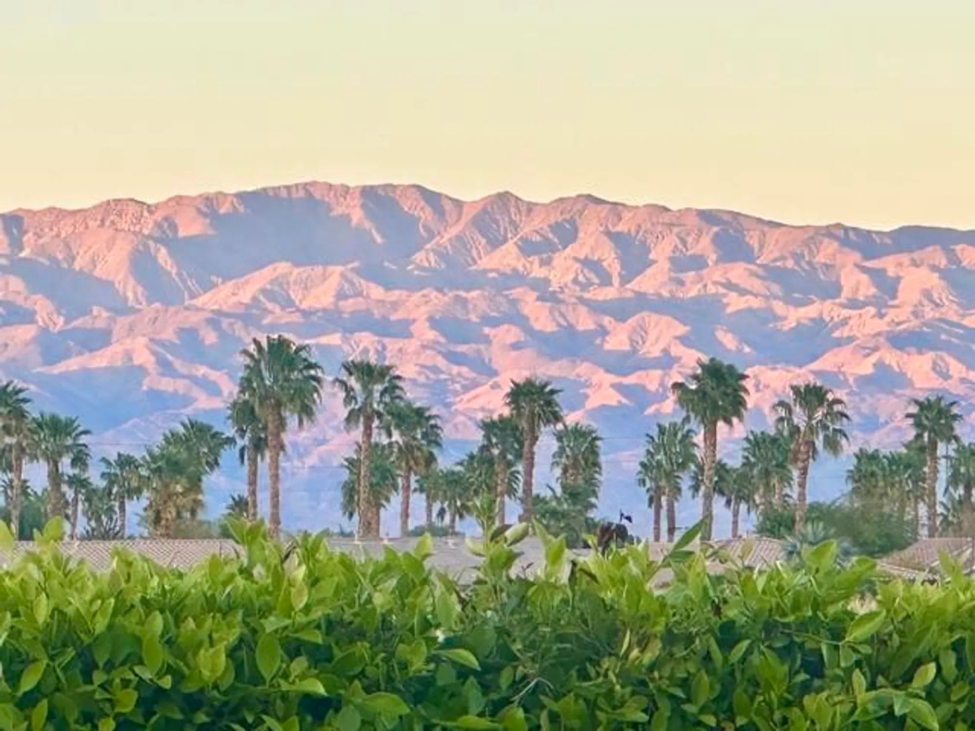 Property Slideshow image 38 of 66 | 81800 eagle claw dr, La Quinta, CA, 92253