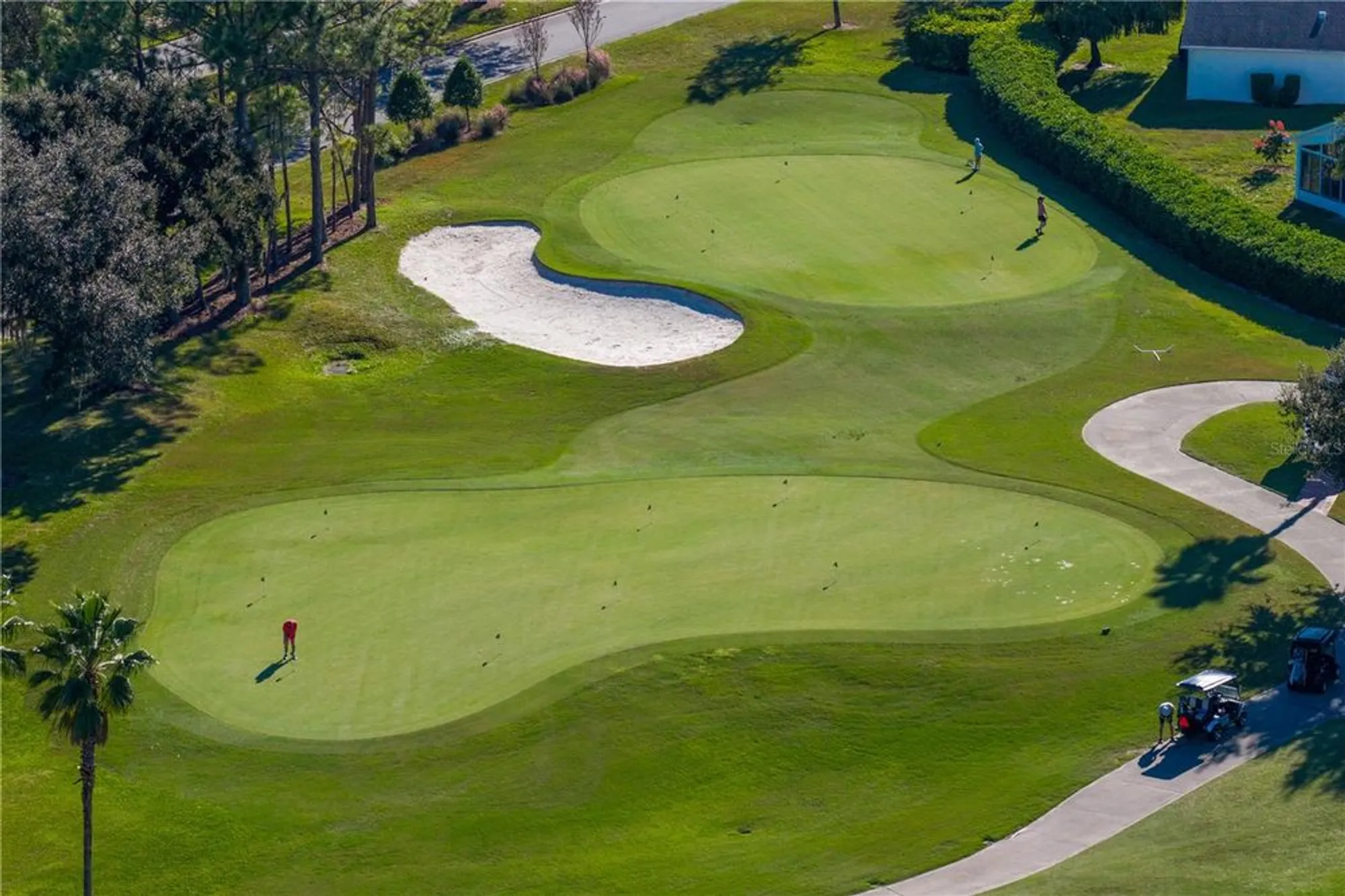 Property Slideshow image 47 of 66 | 1249 winding willow dr, Trinity, FL, 34655