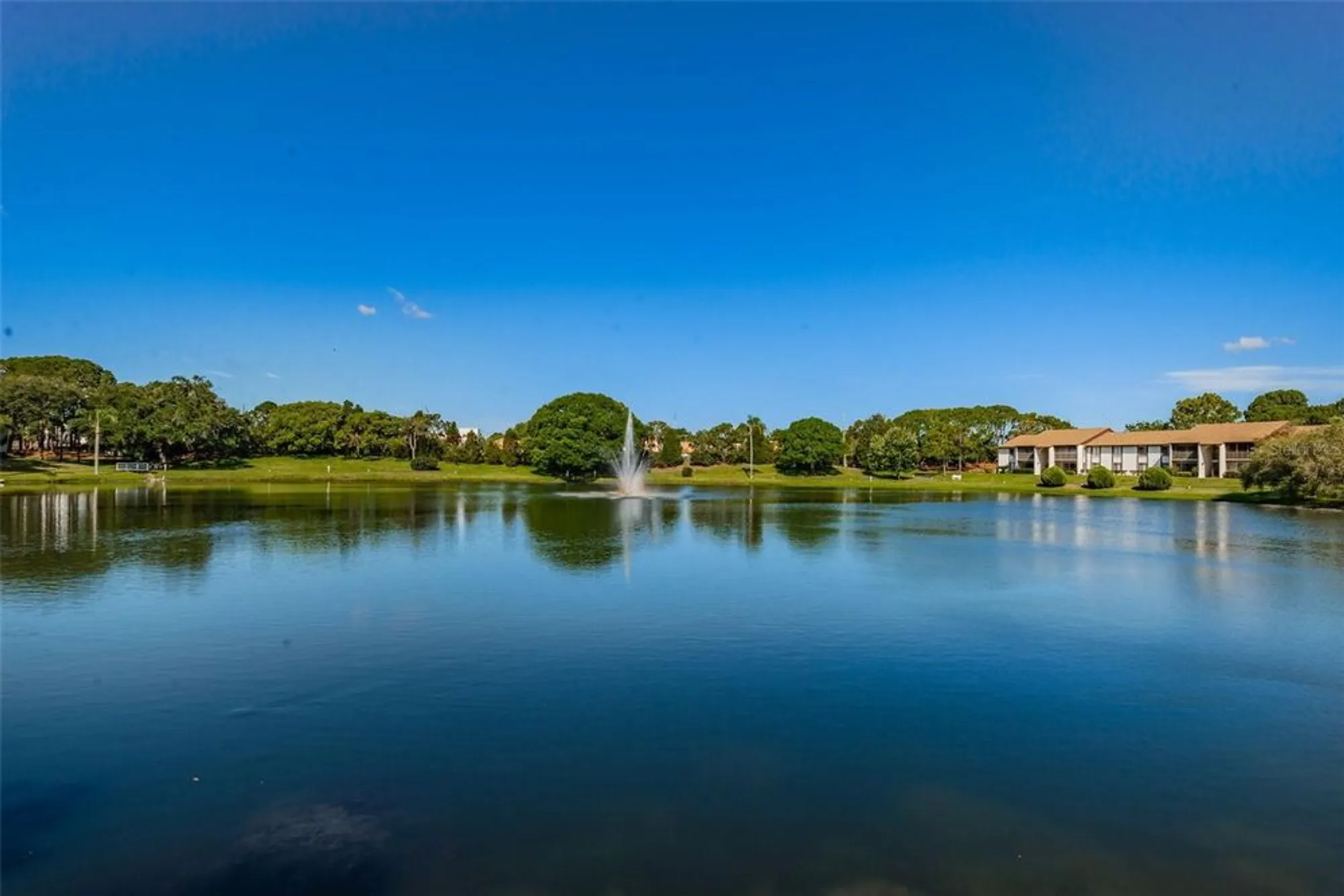 Property Slideshow image 27 of 31 | 2575 pine ridge way e1, Palm Harbor, FL, 34684