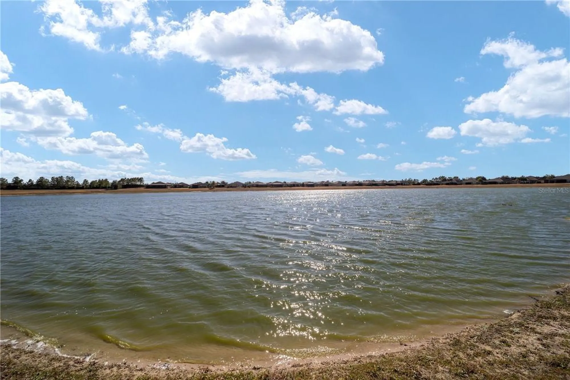 Property Slideshow image 60 of 81 | 9836 sw 75th street rd, Ocala, FL, 34481