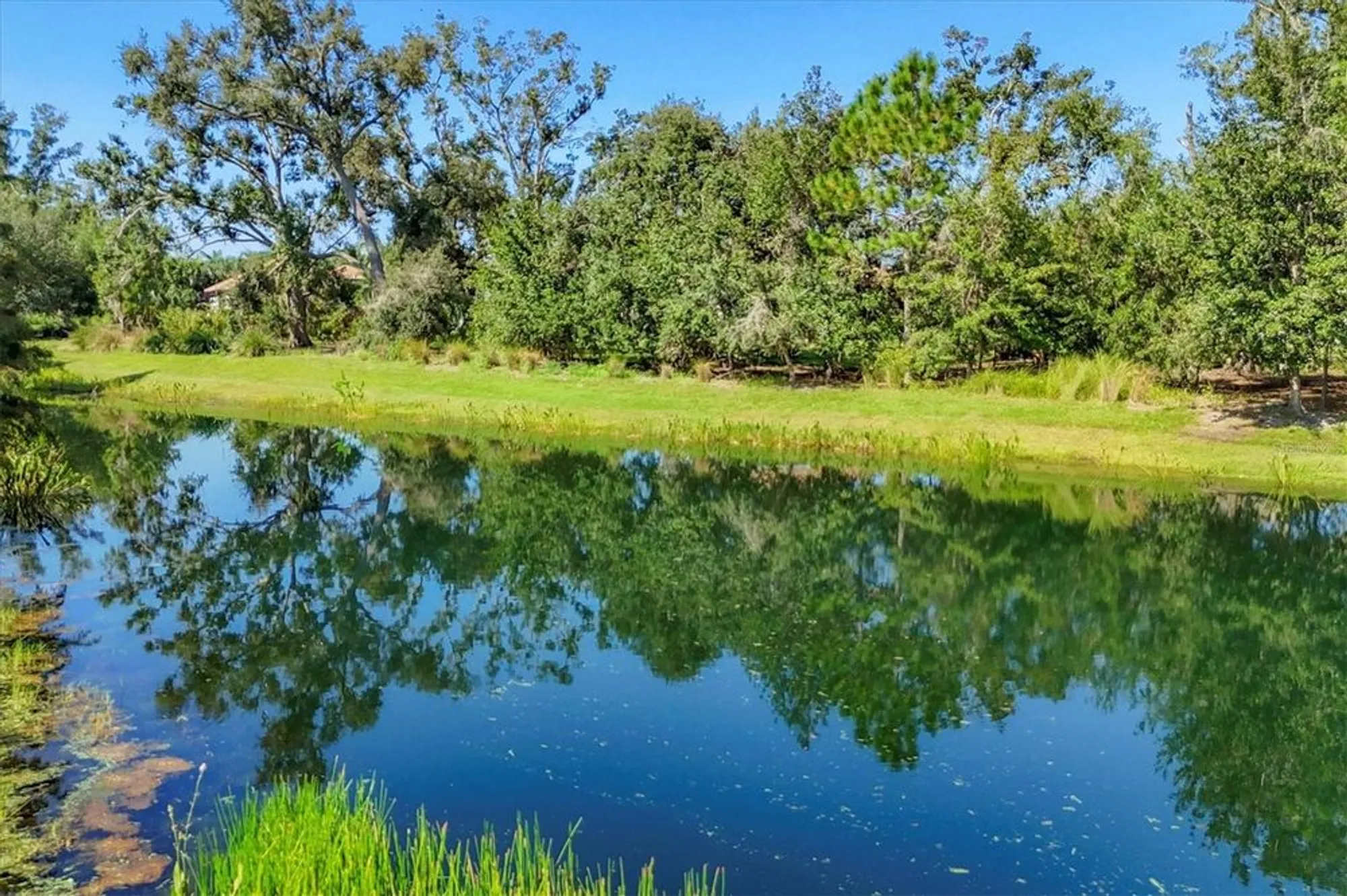 Property Slideshow image 55 of 83 | 4118 midnight blue run, Bradenton, FL, 34211