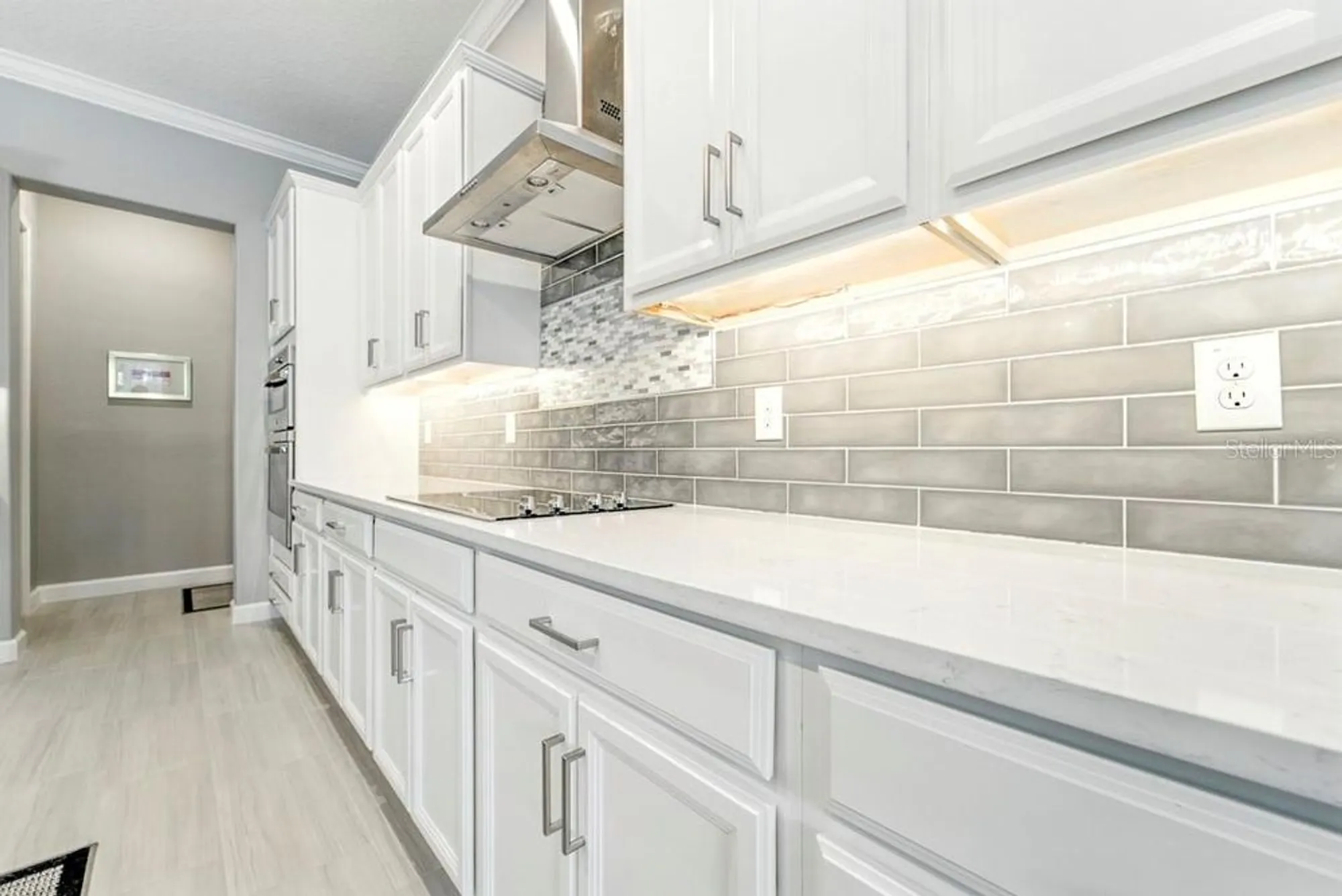 Property Slideshow image 13 of 71 | 10982 banyan breeze blvd, Land O Lakes, FL, 34638