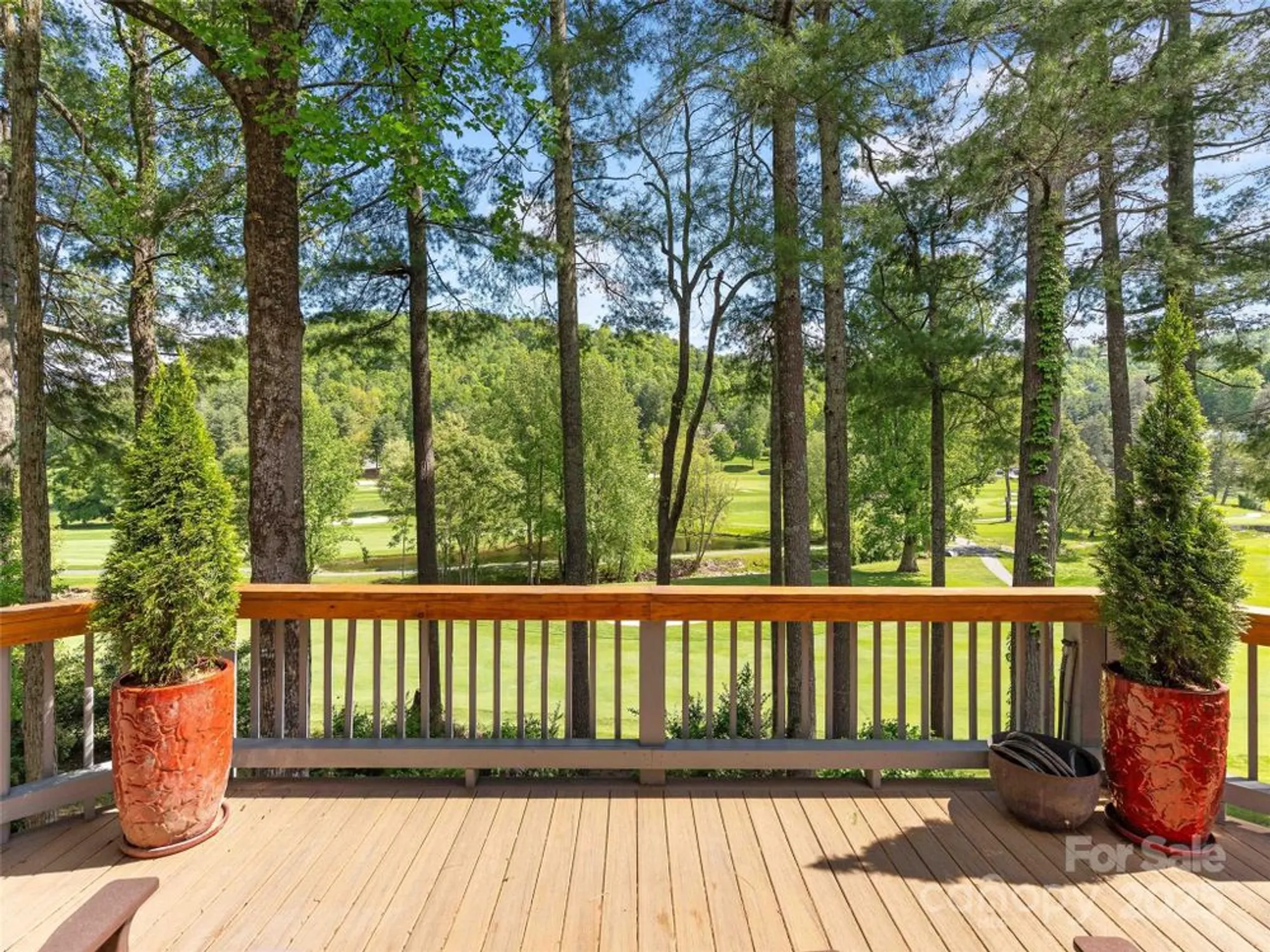 Property Slideshow image 14 of 48 | 161 winding meadows dr, Flat Rock, NC, 28731