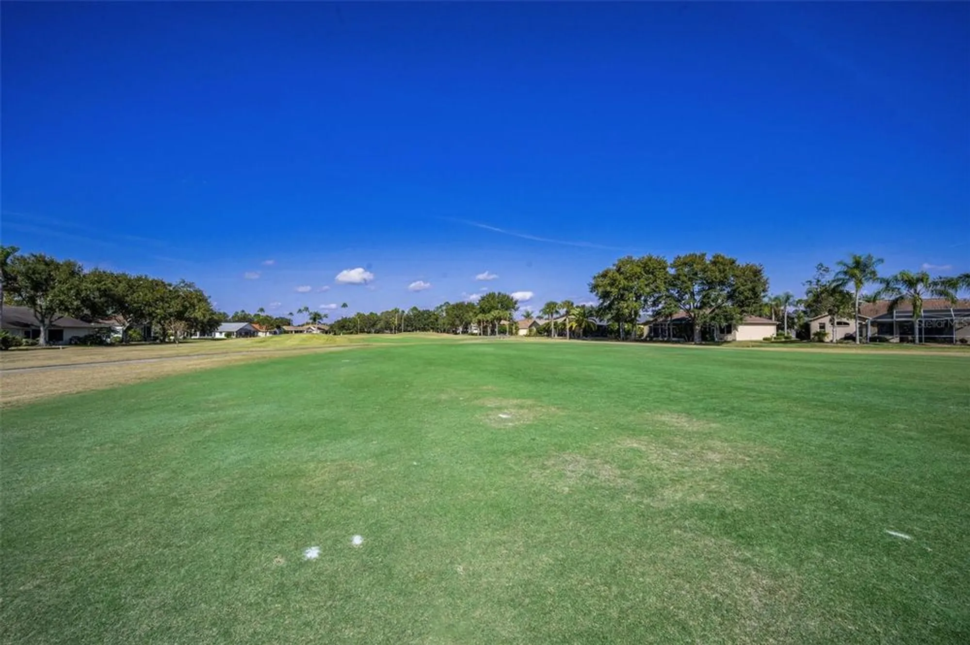 Property Slideshow image 52 of 100 | 1136 almondwood dr, Trinity, FL, 34655