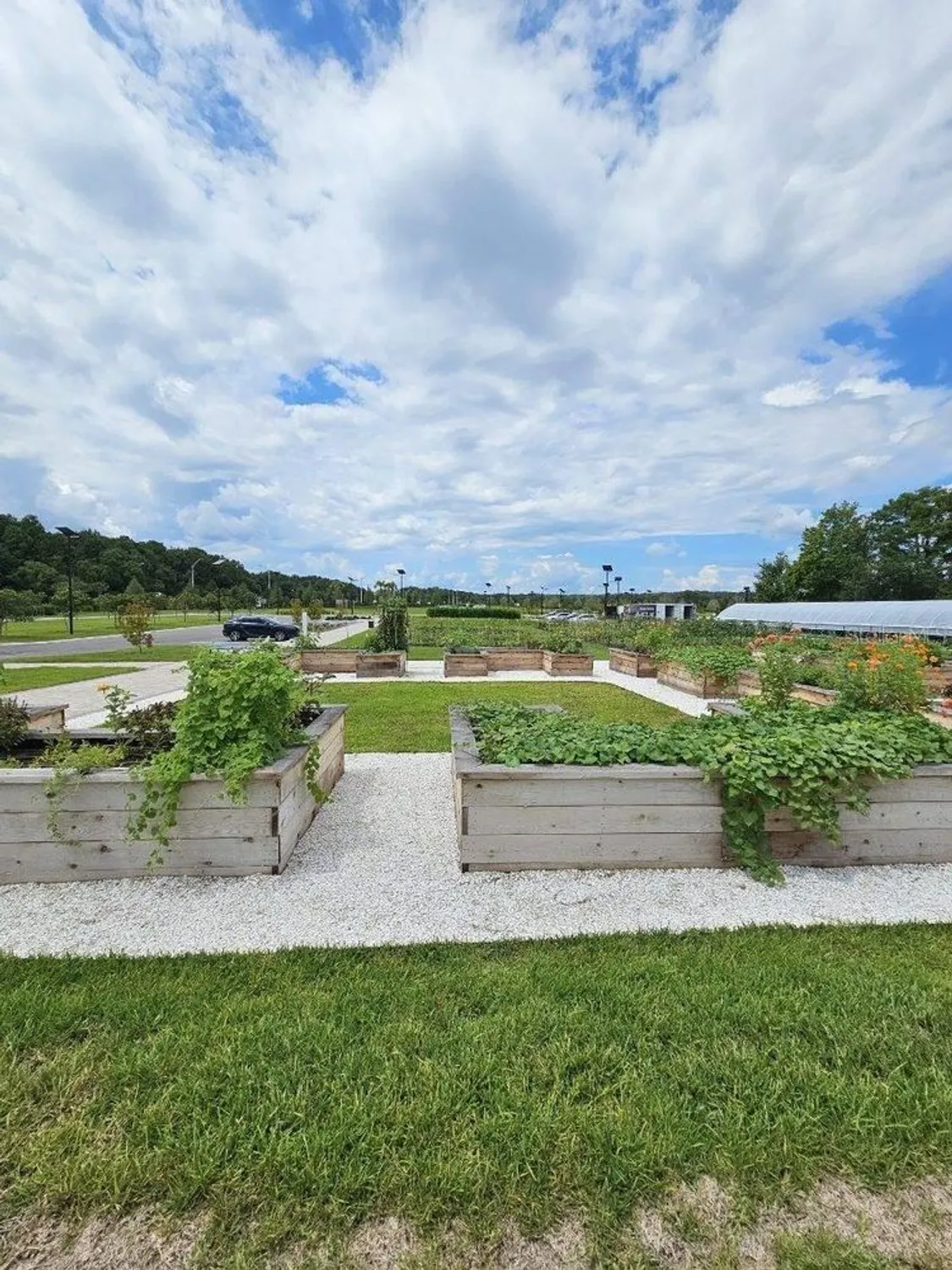 Property Slideshow image 37 of 39 | 16816 shell bay dr, Land O Lakes, FL, 34638