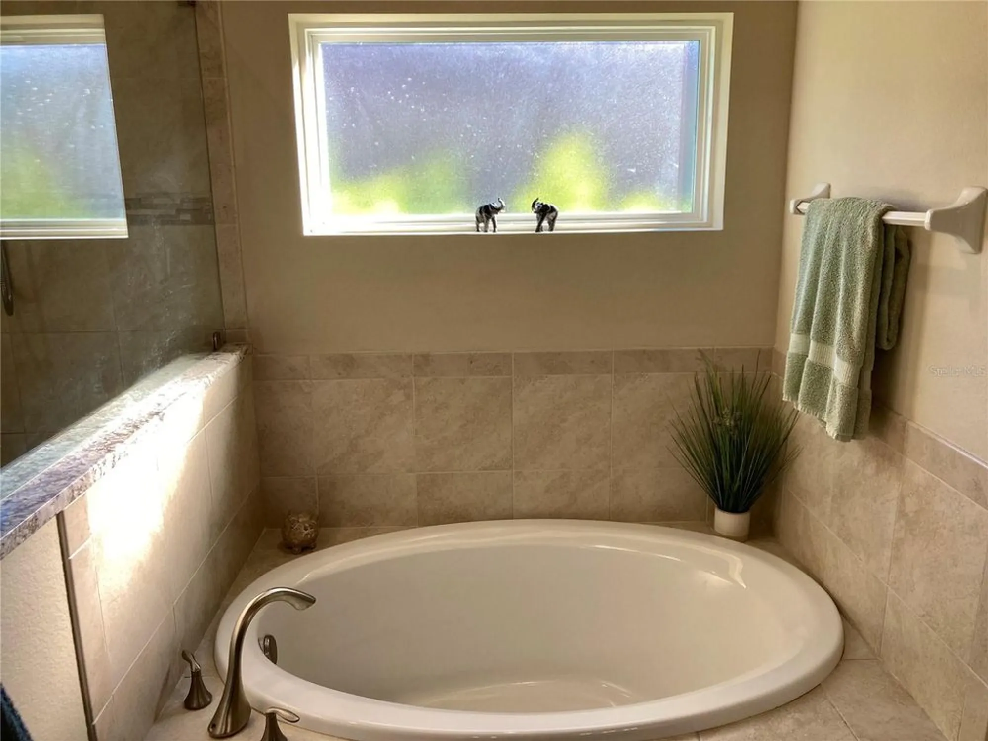 Property Slideshow image 47 of 70 | 3078 silvermines ave, Ormond Beach, FL, 32174