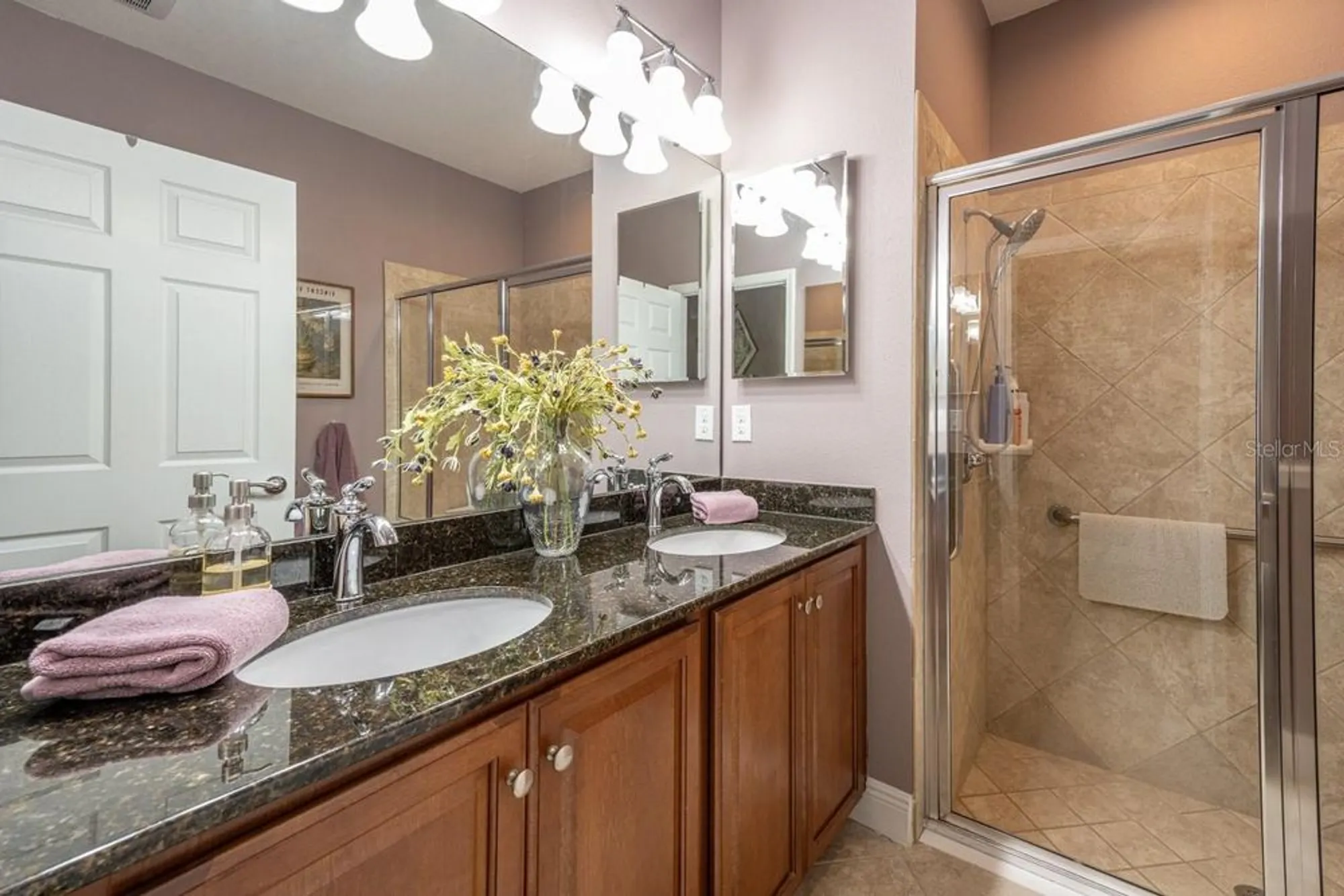 Property Slideshow image 18 of 51 | 5503 sunset falls dr, Apollo Beach, FL, 33572