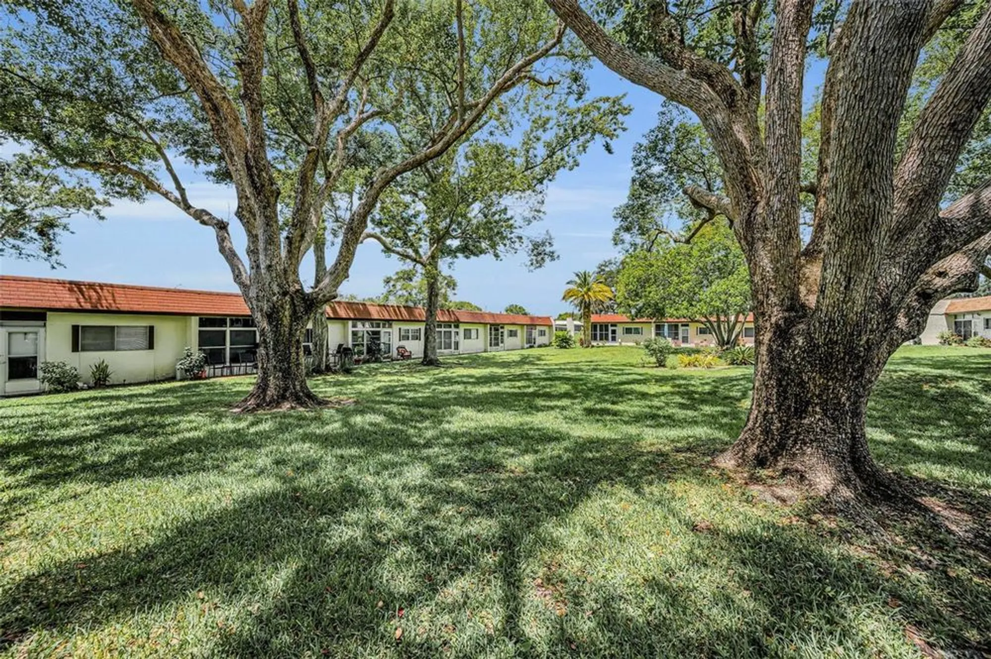 Property Slideshow image 41 of 56 | 3116 highlands blvd # 3116, Palm Harbor, FL, 34684