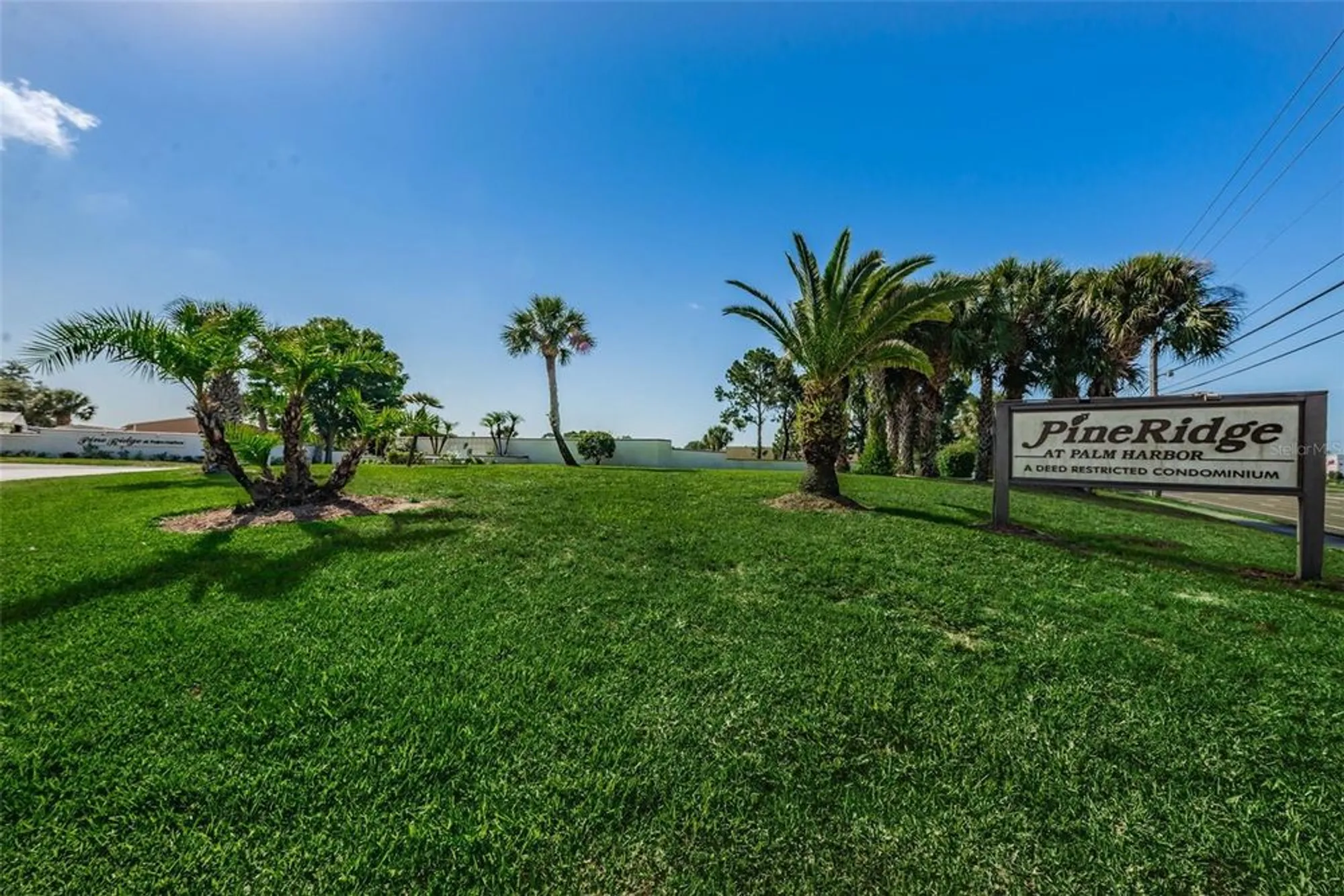 Property Slideshow image 40 of 65 | 2666 pine ridge way c2, Palm Harbor, FL, 34684