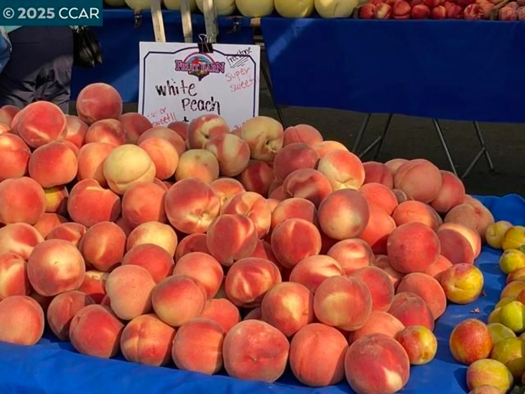 Property Slideshow image 48 of 54 | 3434 tice creek dr 5, Walnut Creek, CA, 94595