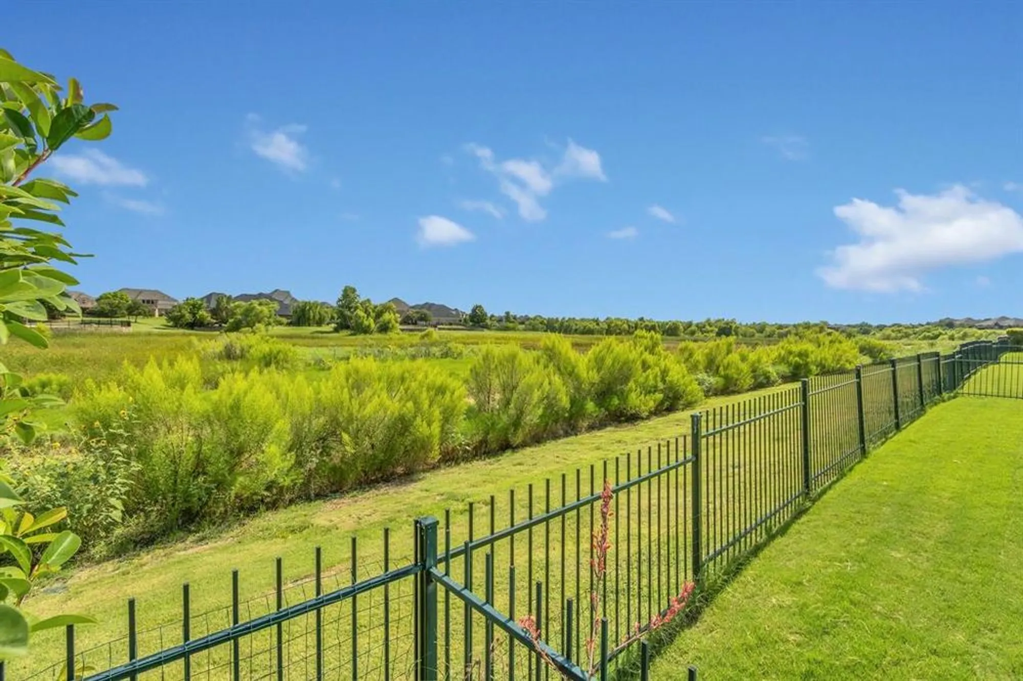 Property Slideshow image 28 of 39 | 305 balboa ct, Frisco, TX, 75036