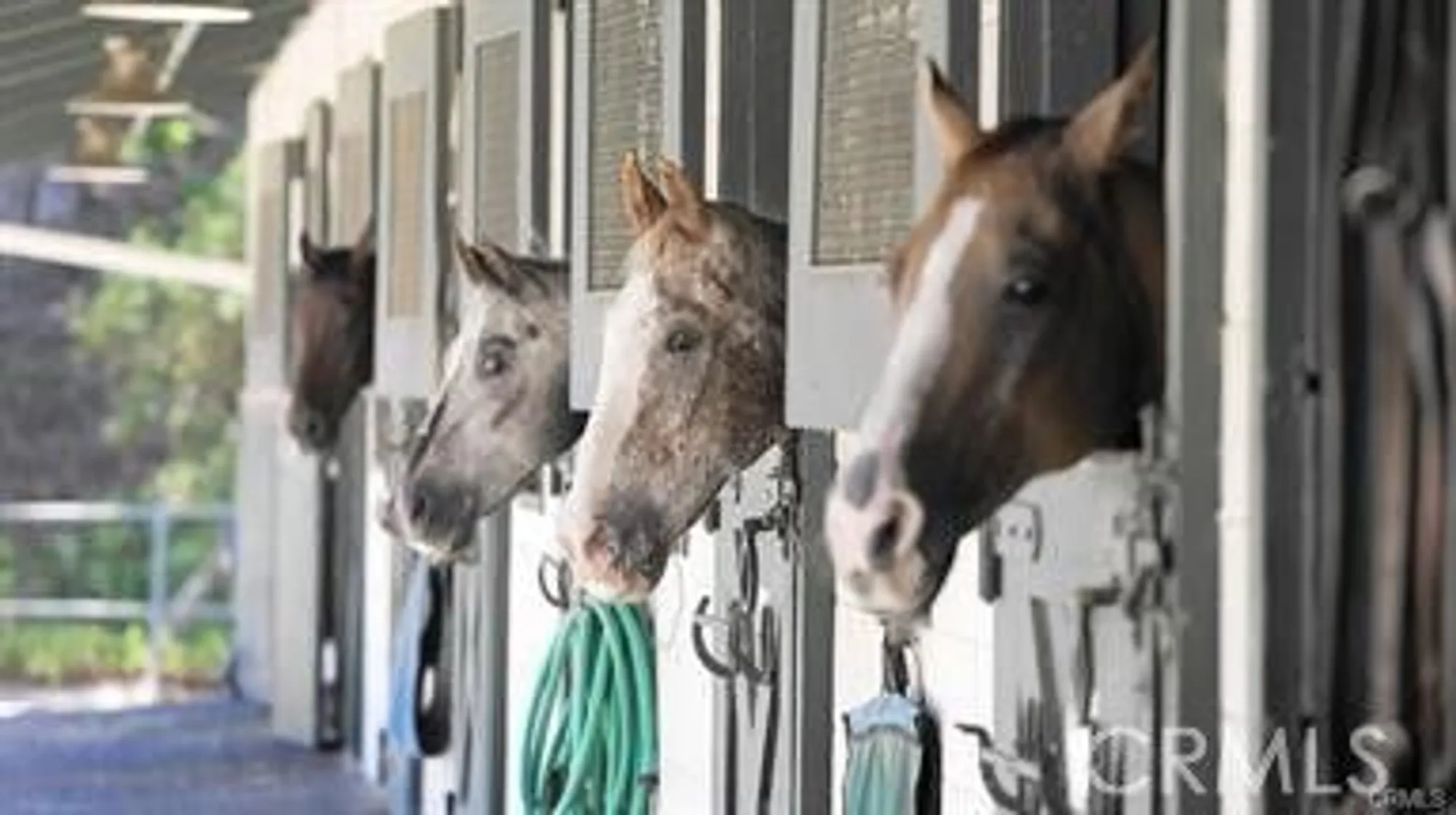 Property Slideshow image 30 of 41 | 803 ronda mendoza n, Laguna Woods, CA, 92637