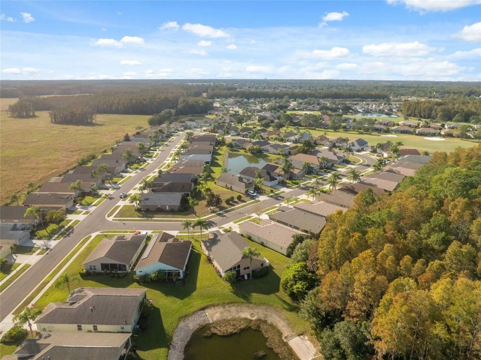 Property Slideshow image 51 of 78 | 1201 dustan pl, Trinity, FL, 34655