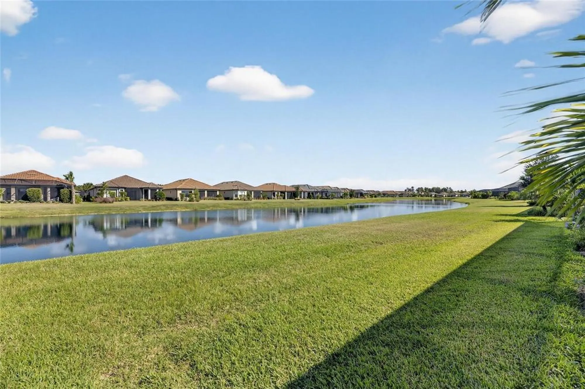 Property Slideshow image 66 of 99 | 11121 egeria dr, Odessa, FL, 33556