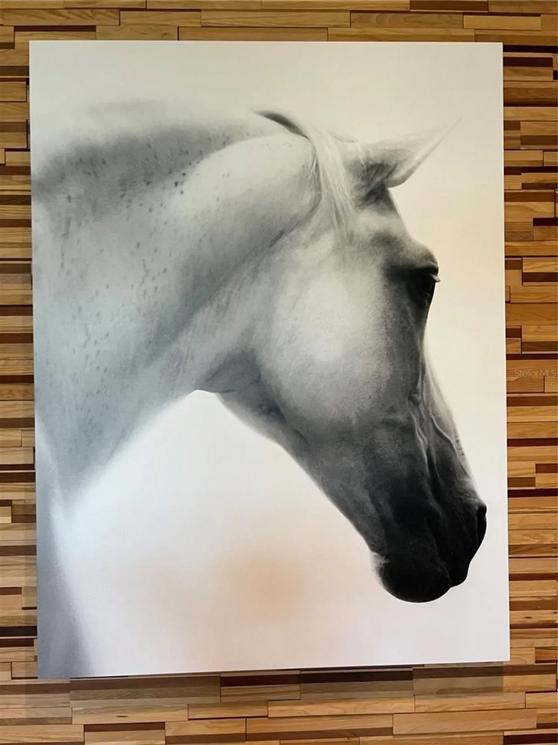 Property Slideshow image 47 of 49 | 4701 nw 51st terrace rd, Ocala, FL, 34482